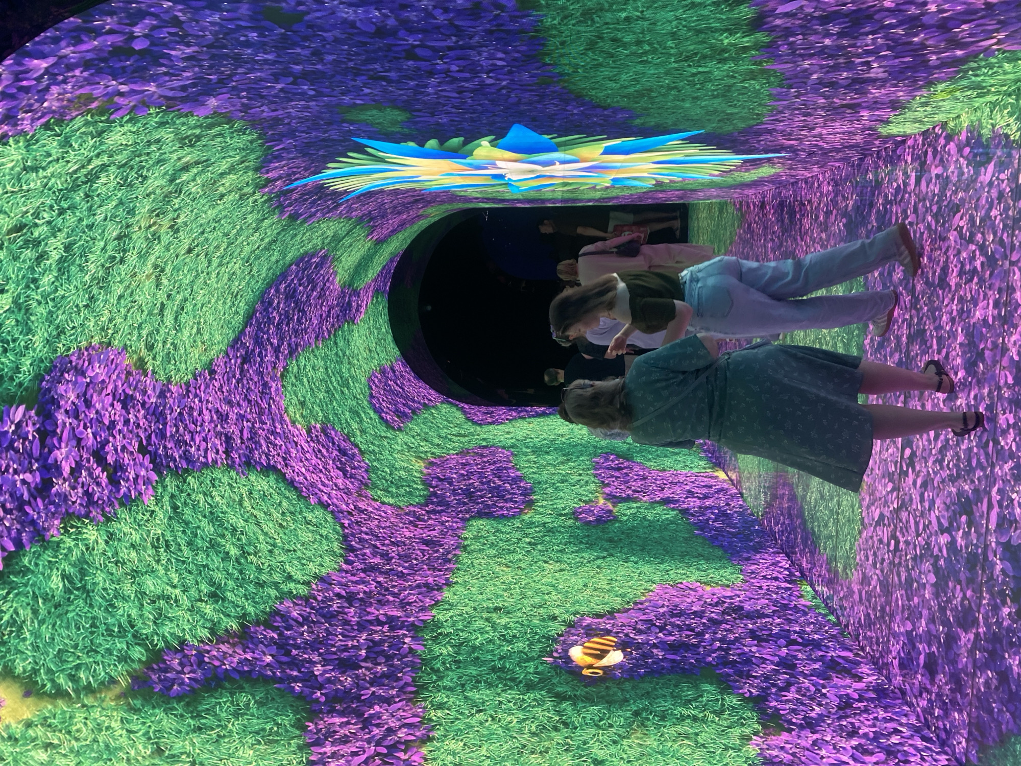 An indoor, tunnel-like walkway at the Japanese Garden in Galitsky Park, Krasnodar, Russia, is depicted from a rear-facing perspective. The entire surface of the tunnel—walls, ceiling, and floor—is covered with immersive digital projections displaying vibrant patterns of green grass and purple foliage.
On the left wall, a projected yellow and black striped bee with translucent wings appears to float amidst the digital foliage. On the right wall, closer to the foreground, a dynamic, multi-colored abstract projection, resembling a stylized plant or coral with blue, yellow, and green elements, extends vertically. The floor reflects the purple foliage pattern.
Several individuals are present, walking away from the camera through the tunnel. In the foreground, two women walk side-by-side. The woman on the left wears a knee-length green dress with a subtle pattern and dark sandals. The woman on the right wears a dark green top and light blue jeans with light-colored sneakers. Her head is turned slightly to her left. Further down the tunnel, approximately five to eight additional people are visible, moving in the same direction, with some details obscured by shadow. One person in the midground wears light-colored clothing and carries a bag. The tunnel exit appears darker in the distance.