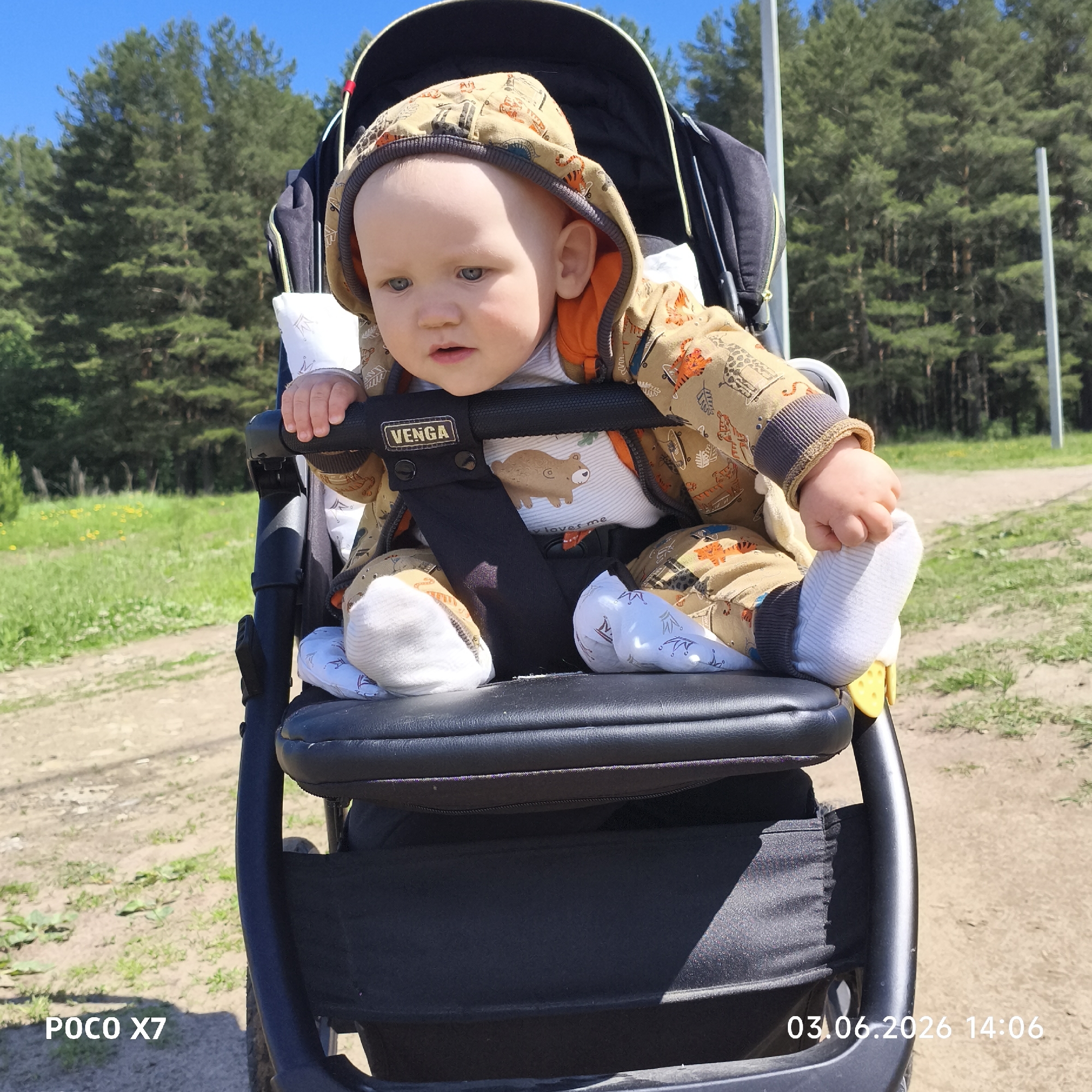 An infant is seated upright in a dark-colored stroller outdoors on a bright, sunny day in Chaikovsky, Russia. The baby, with light hair and blue-grey eyes, is dressed in a hooded romper or overall featuring a beige fabric with various animal and object prints (such as tigers, giraffes, bears, skateboards) and an orange inner lining in the hood. Underneath, a white long-sleeve shirt with a brown bear graphic and the partially visible text "loves me" can be seen. The baby wears white socks/booties, some with blue crown patterns.
The stroller has a safety bar across the front, emblazoned with the "VENGA" brand name in gold letters on a black strap. The infant is looking towards the left of the frame with a curious and calm expression, with one hand resting on the stroller's bar.
The background features a clear blue sky above a dense line of tall green coniferous trees, indicative of a forest or wooded area. In the mid-ground and foreground, a dirt or gravel path is visible, bordered by patches of green grass and some yellow wildflowers. Two light-colored vertical poles stand in the distance among the trees.
The time of day is indicated as early afternoon by the timestamp "03.06.2026 14:06" in the bottom right corner, corresponding with the bright sunlight. The camera model "POCO X7" is visible in the bottom left corner.