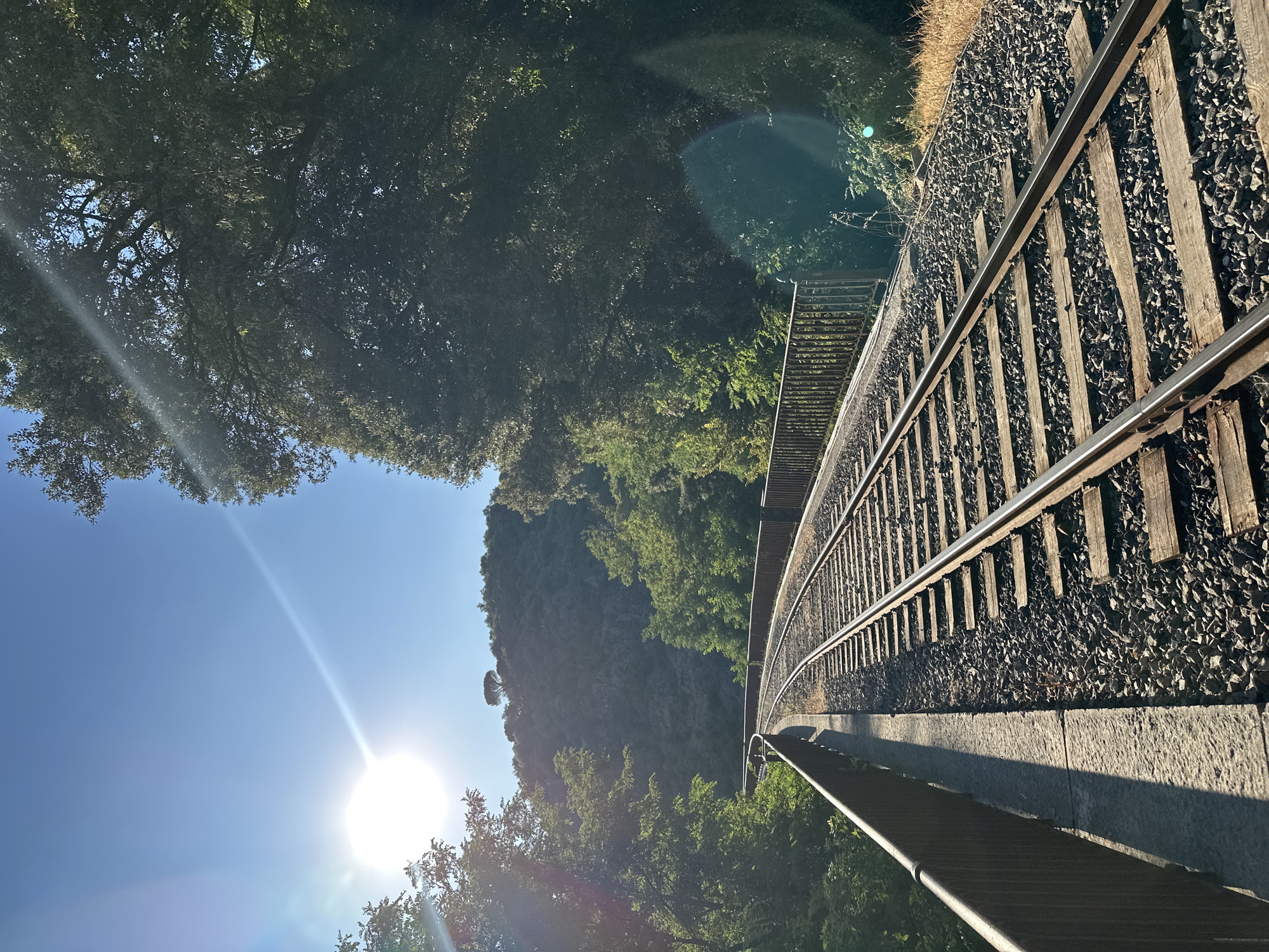 This is a vertical, eye-level, medium shot of a curved railroad track on a bright, sunny day in Générargues, France. The sun is in the upper left corner of the frame, casting a lens flare across the blue sky. The railroad tracks, made of wood and gravel, curve to the left and recede into the distance. On either side of the tracks are metal railings, and beyond the railings, lush green trees and a hillside covered in trees. A single, tall evergreen tree stands atop the hill. The scene is serene and natural.