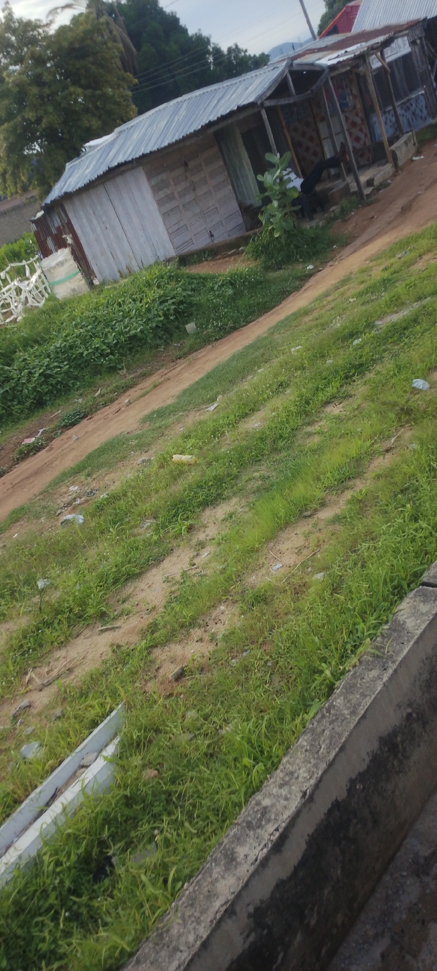 This media file captures an outdoor scene in Jalingo, Nigeria. The image features a rustic building with a corrugated metal roof and wooden siding. In front of the building, there is a dirt path and a grassy area. A concrete structure, possibly a drainage ditch or curb, runs along the lower edge of the frame. The scene appears to be set during the daytime, with natural light illuminating the area. The sky is overcast, suggesting potentially cloudy weather.
The building itself has an open-fronted section, suggesting it might be a shop or dwelling. A plant grows near the entrance. Scattered litter is visible on the ground, indicating the area may be somewhat neglected. The overall impression is of a casual, everyday environment in a rural or semi-rural setting. No specific activities or events are clearly depicted, but the presence of the building and the surrounding environment suggests a functional space within a community. There is no visible text in the image.
