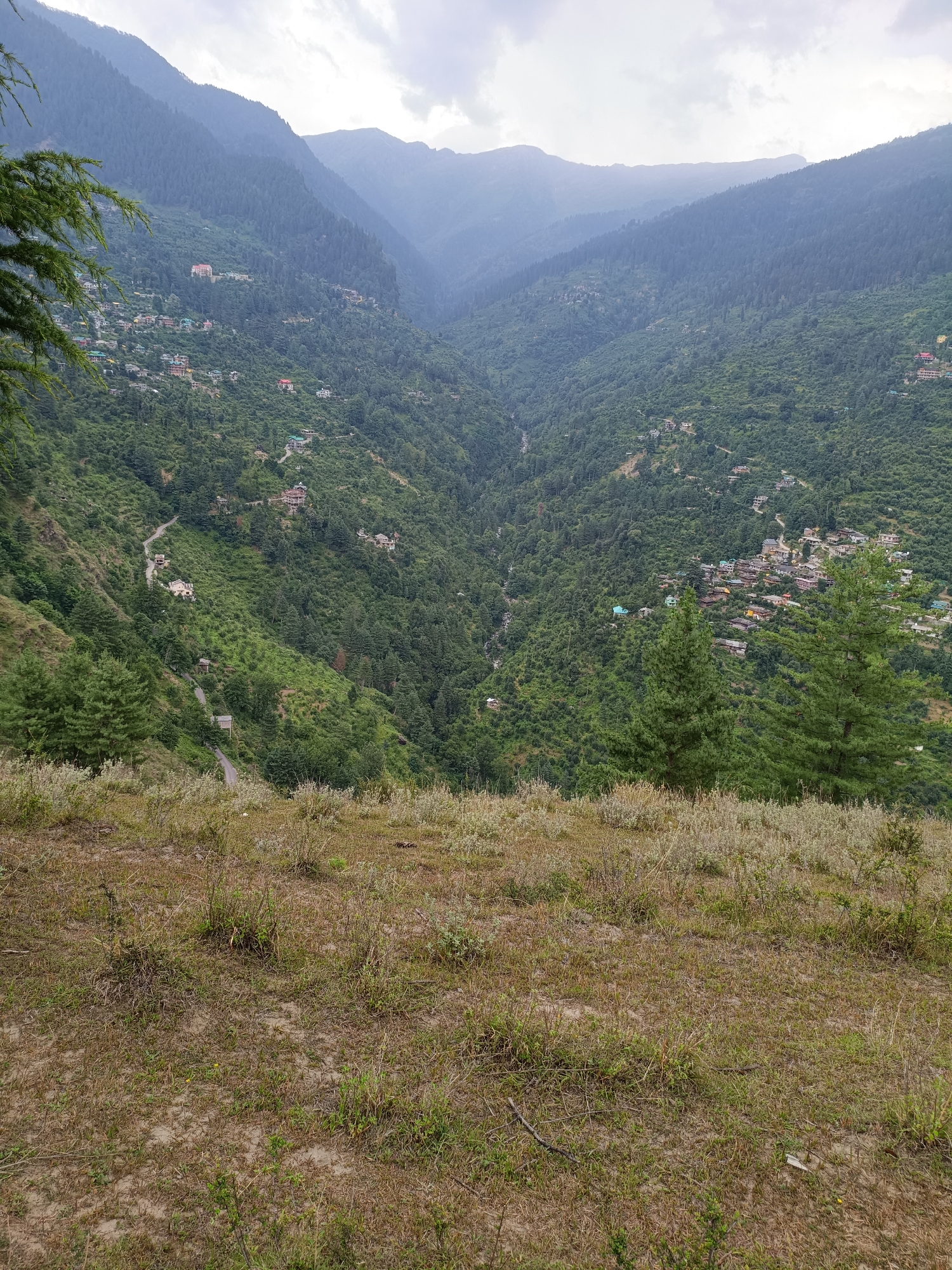 A scenic vista unfolds in Chhaki, India, showcasing a verdant valley cradled by towering, tree-covered mountains. The slopes are dotted with clusters of houses, their colorful roofs peeking through the dense foliage. A winding road snakes its way up the mountainside, disappearing into the landscape. In the foreground, dry grass and scattered vegetation create a textured foreground. The sky above is overcast, casting a soft, diffused light over the entire scene. The overall impression is one of a serene, rural mountain community nestled within a breathtaking natural setting.