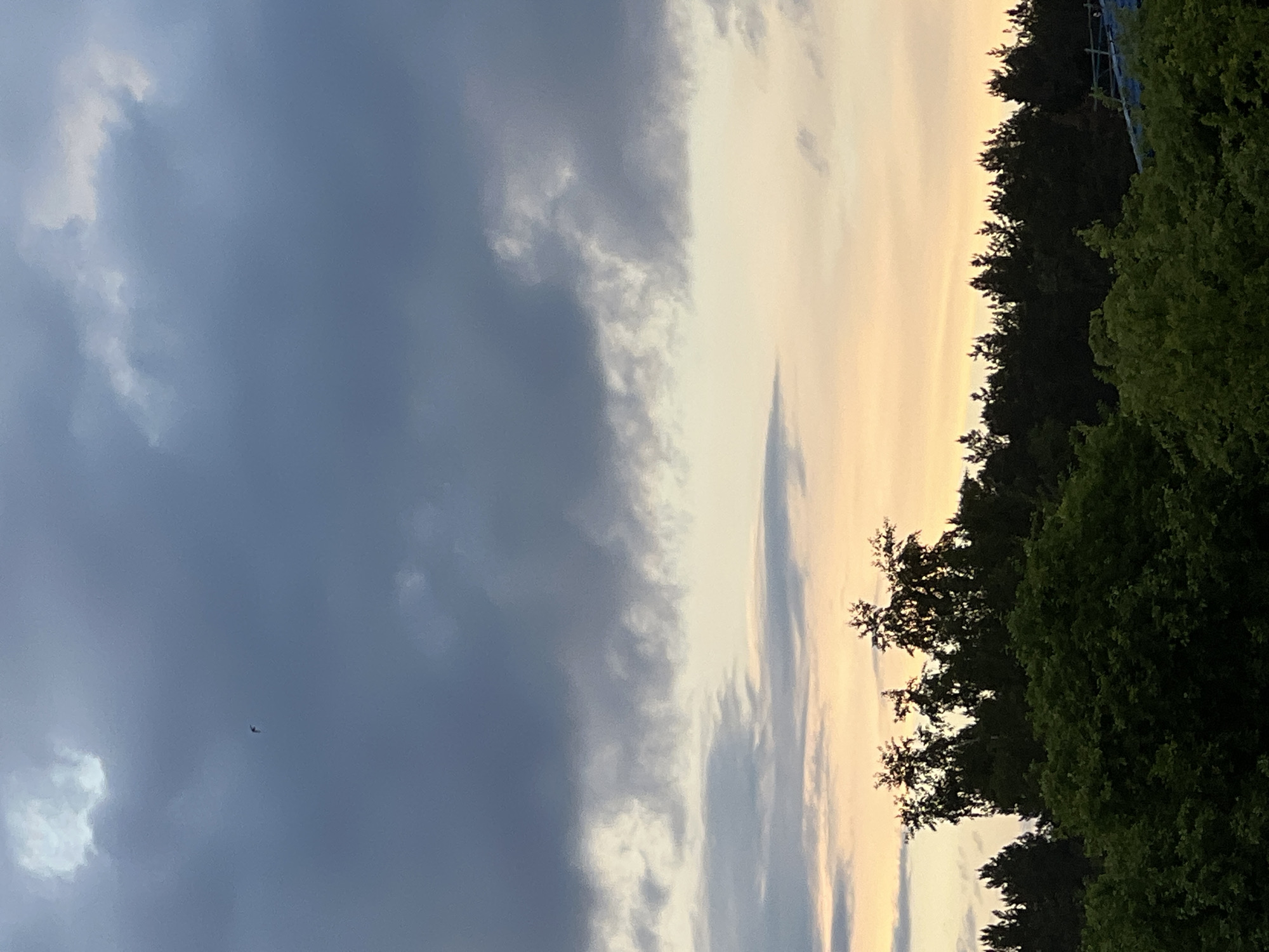 The image shows a sky at dusk, with a line of trees along the right side. The sky is divided into a dark, cloudy area on the left and a lighter area with a golden glow on the right. A small bird is visible in the dark area of the sky. The location is likely Chaikovsky, Russia, given the request, but there are no specific visual cues in the image to confirm this. The scene depicts a transition from daylight to night.