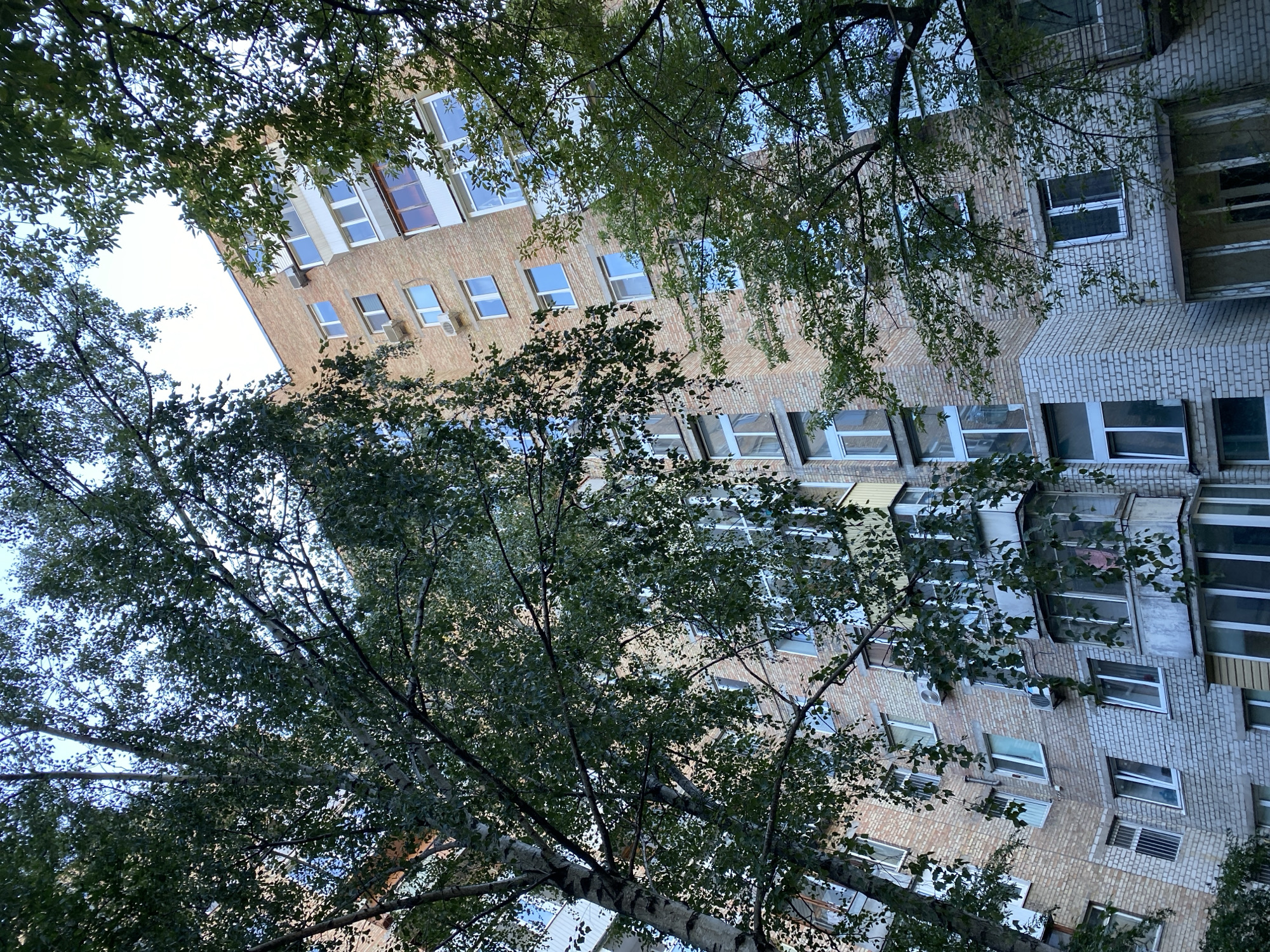 An upward shot of a brick apartment building, partially obscured by the branches and foliage of trees, on a cloudy day. The building has many windows, some with balconies. On the building, several air conditioning units are visible. The trees in the foreground have green leaves and white bark.