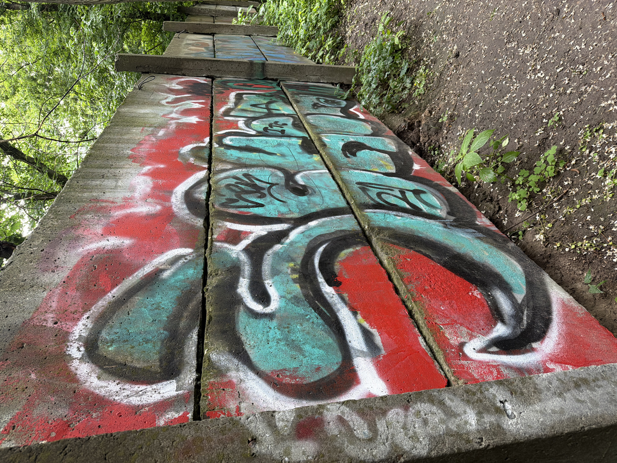 The image shows a section of a concrete wall covered in graffiti. The wall is constructed from stacked concrete blocks, with distinct horizontal lines indicating the divisions between them. The graffiti features bold, stylized lettering in various colors, primarily red, turquoise, black, and white. The turquoise appears to be the dominant color of the lettering, outlined in black and white. The background consists of lush green trees and foliage, suggesting an outdoor, possibly urban or park-like setting. The ground is a dirt path with scattered white debris, possibly fallen petals or leaves. The concrete wall and its graffiti appear aged, with some weathering visible on the concrete surface. The image is taken from a slightly low angle, looking up at the wall. There are no people visible in the image. The overall scene depicts an urban landscape with evidence of street art. The location is specified as being in the city of Kyiv, Ukraine.
