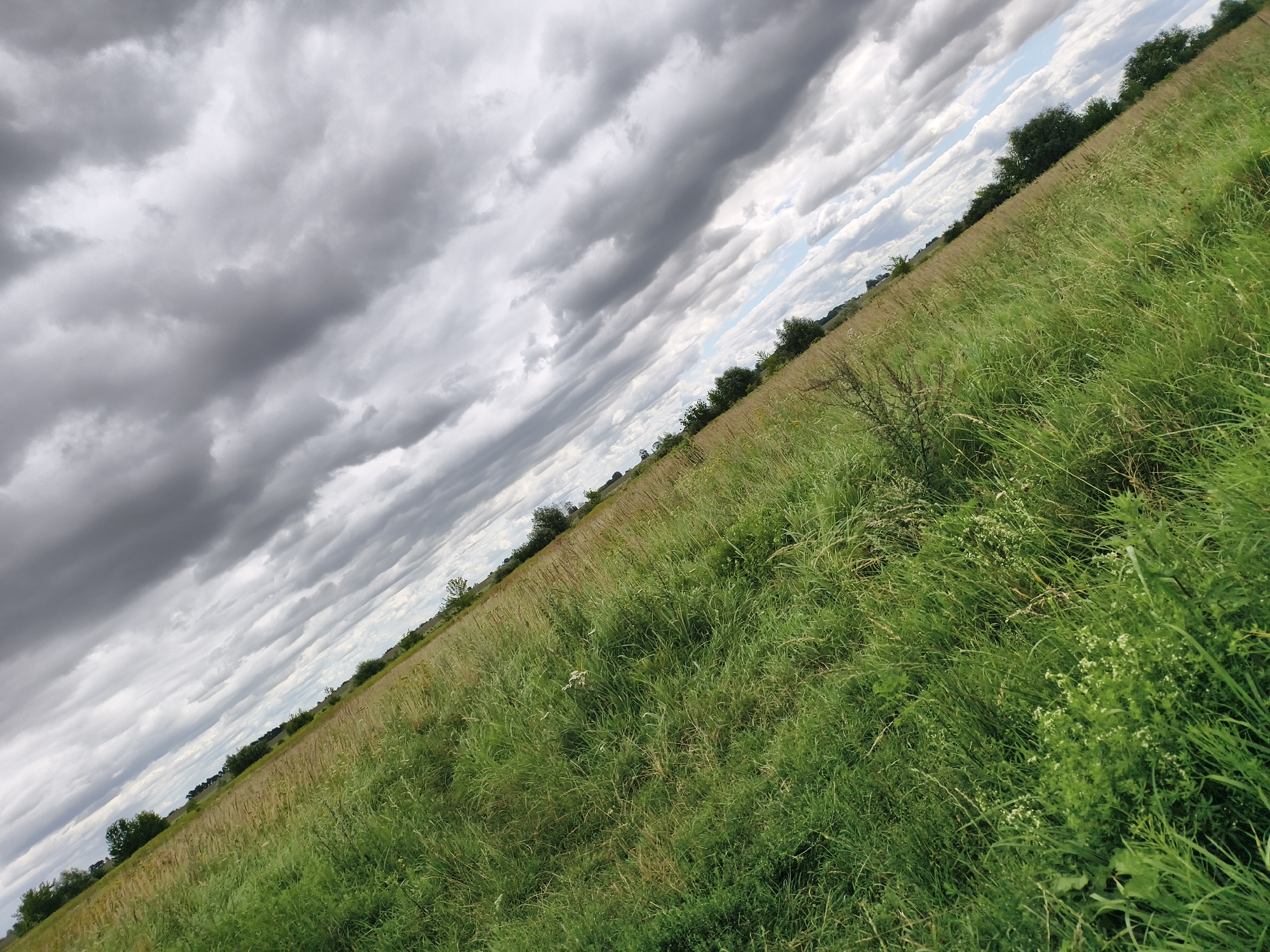 The image depicts a slightly tilted view of a grassy field with a line of trees in the background. The sky is filled with dramatic, dark grey clouds interspersed with patches of lighter grey and blue sky. The foreground and midground are dominated by tall, green grass, with some areas of drier, tan-colored vegetation visible further back. The overall impression is that of a rural or semi-rural landscape under a cloudy sky. There is no indication of any specific location within Tczew, Poland, or any people or actions.