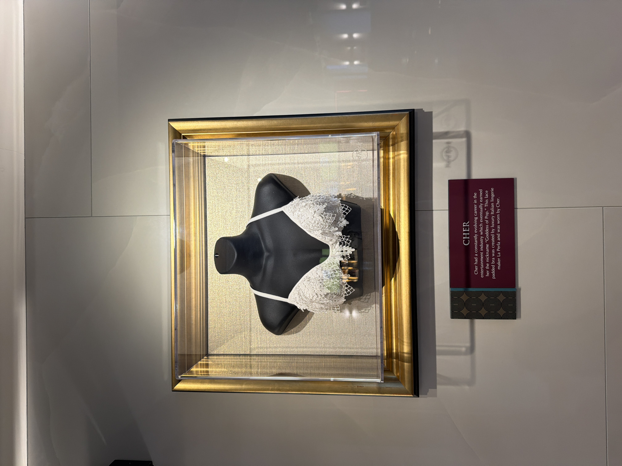 The image captures a white lace padded bra displayed on a black mannequin torso, enclosed within a gold-framed clear acrylic display case. This piece of memorabilia is presented against a light, neutral-colored paneled wall, typical of a museum or exhibition setting, specifically Hard Rock Cafe given a faint logo visible behind the display. The bra is intricately detailed with floral lace patterns, and its straps are thin and white. The black mannequin highlights the delicate design of the lingerie.
To the right of the display case, a maroon plaque provides contextual information about the item. The text on the plaque reads: "CHER. Cher had a constantly evolving career in the entertainment industry which eventually earned her the nickname 'Goddess of Pop.' This lace padded bra was created by luxury Italian lingerie maker La Perla and was worn by Cher."
The display case itself features a textured, light gold or beige fabric as its background, which contrasts with the black mannequin and white bra. Reflections are visible on the clear acrylic front of the case and on the glossy wall panels, indicating indoor lighting. The overall scene suggests a curated presentation of celebrity attire, located in Milan, Italy.