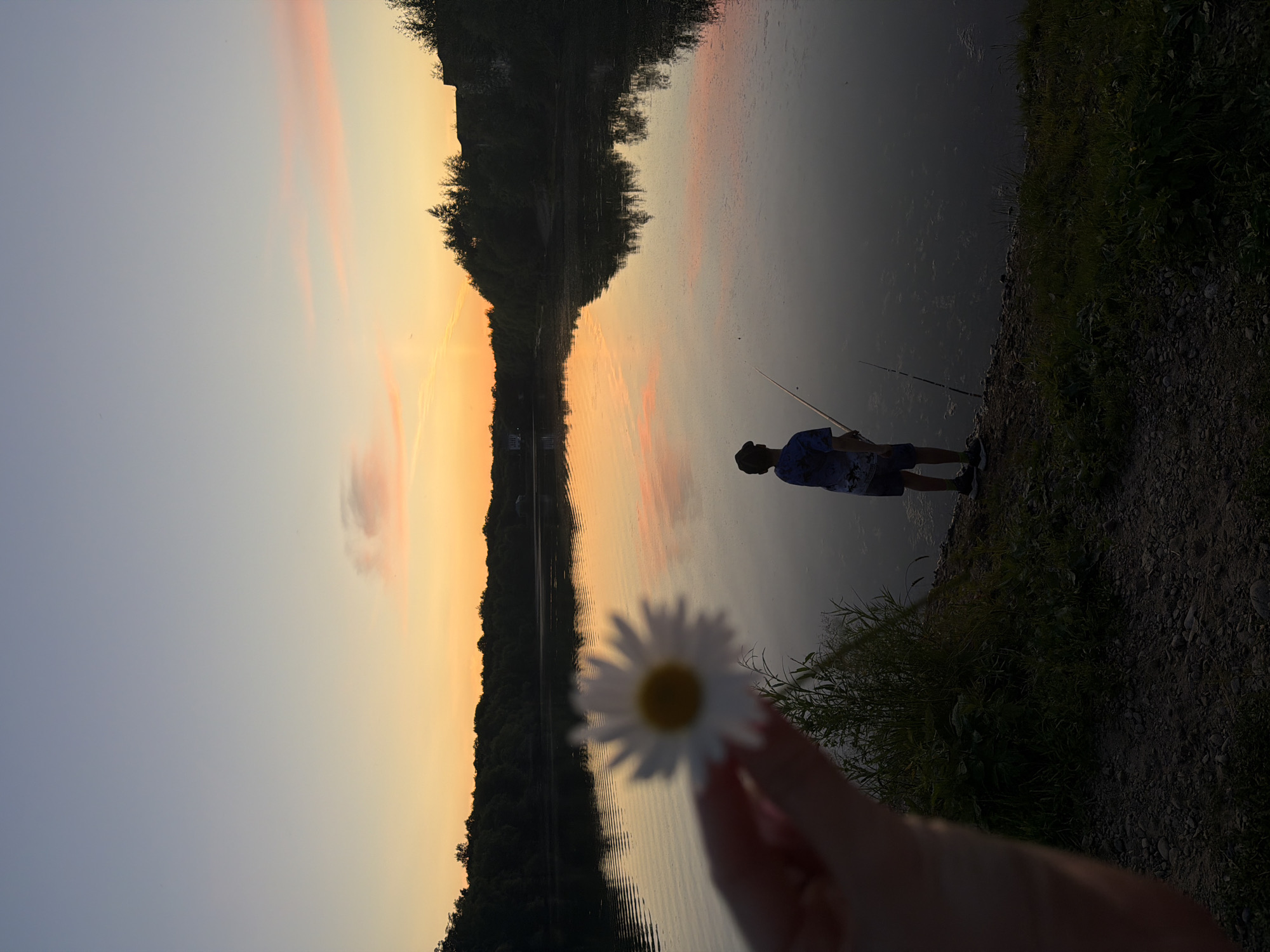 A young boy stands on the shore of a calm lake, fishing with a rod as the sun sets. The sky is a gradient of soft blues and oranges, with a few wispy pink clouds. In the foreground, a hand holds up a daisy, its white petals blurred due to its proximity to the lens. The lake reflects the colors of the sunset, creating a mirror image of the sky. Trees line the opposite shore, their dark silhouettes contrasting with the vibrant sky. The ground on the near shore is covered in pebbles and grass. The overall scene evokes a peaceful, serene atmosphere. The location is not specified as Birobidzhan, Russia.