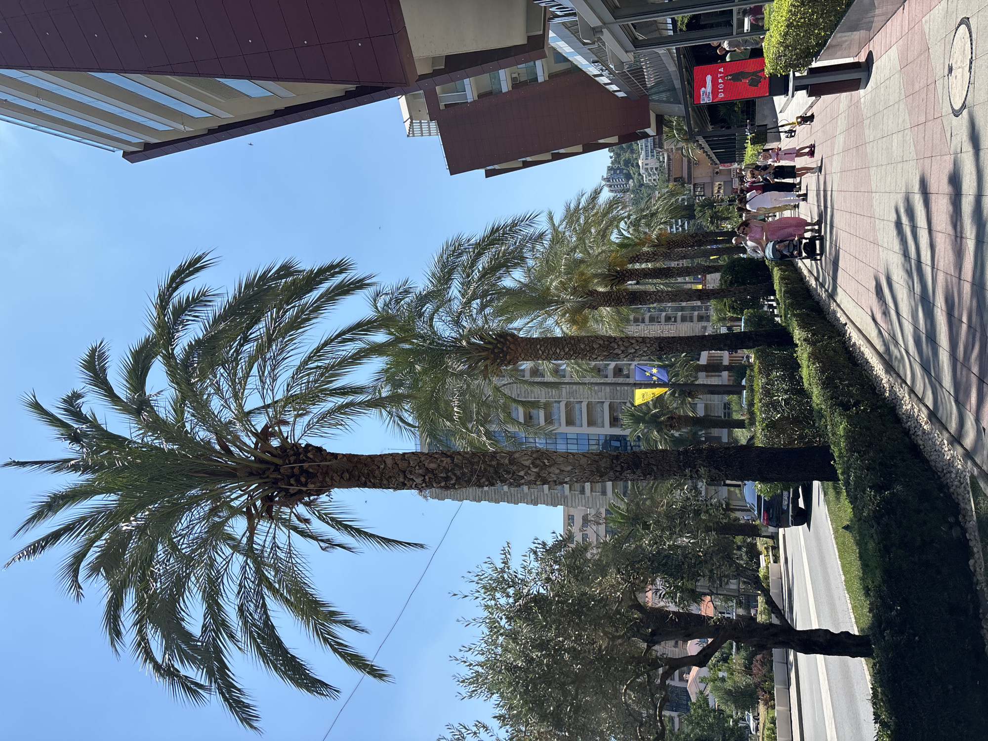 In Budva, Montenegro, a sunny day unfolds along a pedestrian walkway lined with palm trees. A dark-colored sedan is parked on the adjacent street, which also features a white road marking. The walkway itself is paved with pink and beige tiles and is bordered by a neatly trimmed green hedge. Several people are walking along the path, including a woman pushing a stroller, a young girl, and other individuals in the distance. A large, modern building with a dark red facade and balconies stands to the right, while taller buildings, including one with a patterned facade, rise in the background. The sky is clear and blue, and the scene is bathed in sunlight, casting shadows on the walkway. A red digital billboard displaying an advertisement is visible on the building to the right.