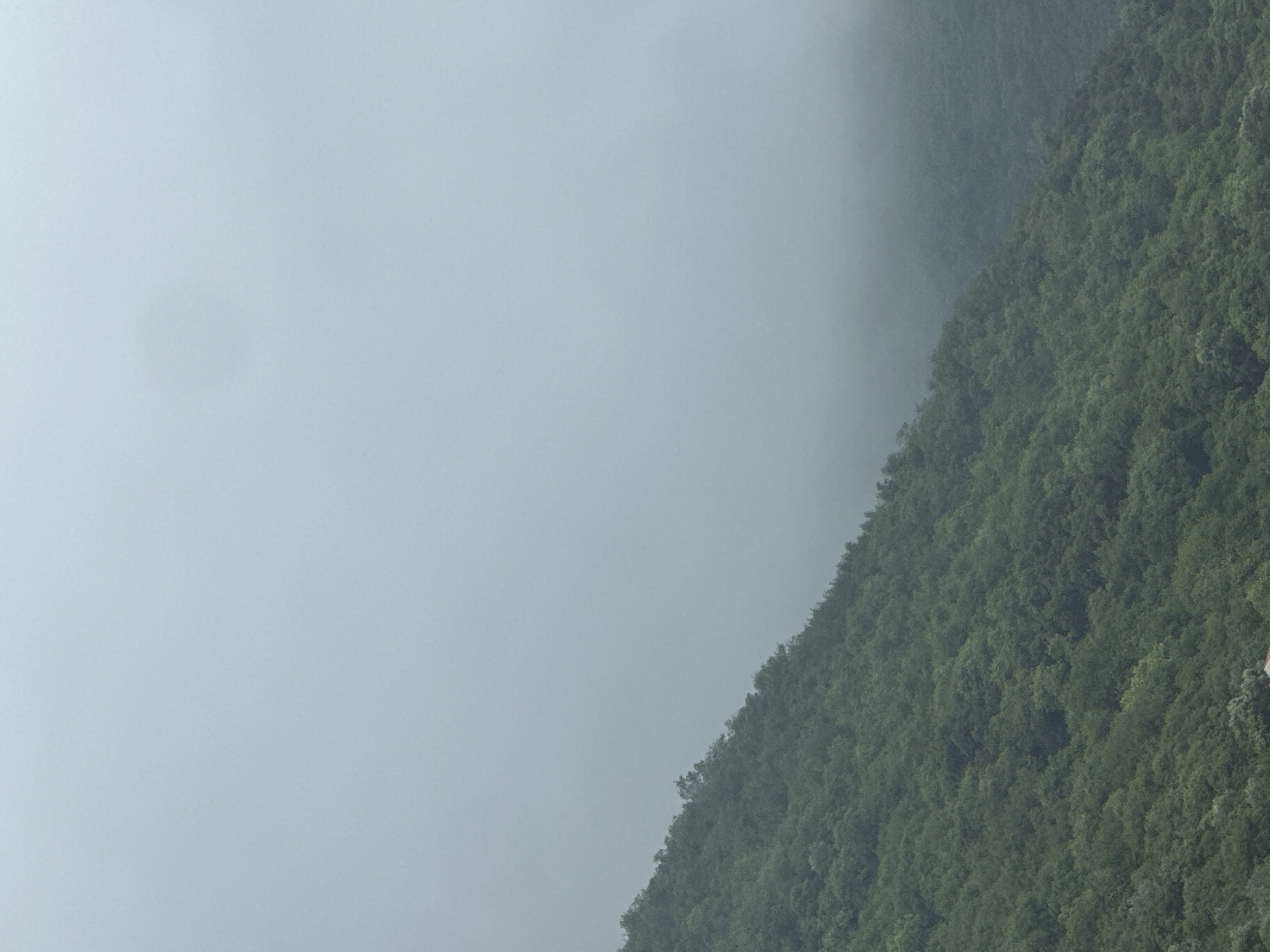 The image depicts a misty landscape in Budva, Montenegro. A densely forested hillside occupies the right side of the frame, transitioning to a gray sky obscured by fog or low clouds on the left. The specific location and any human presence or activity are not discernible from the provided image.