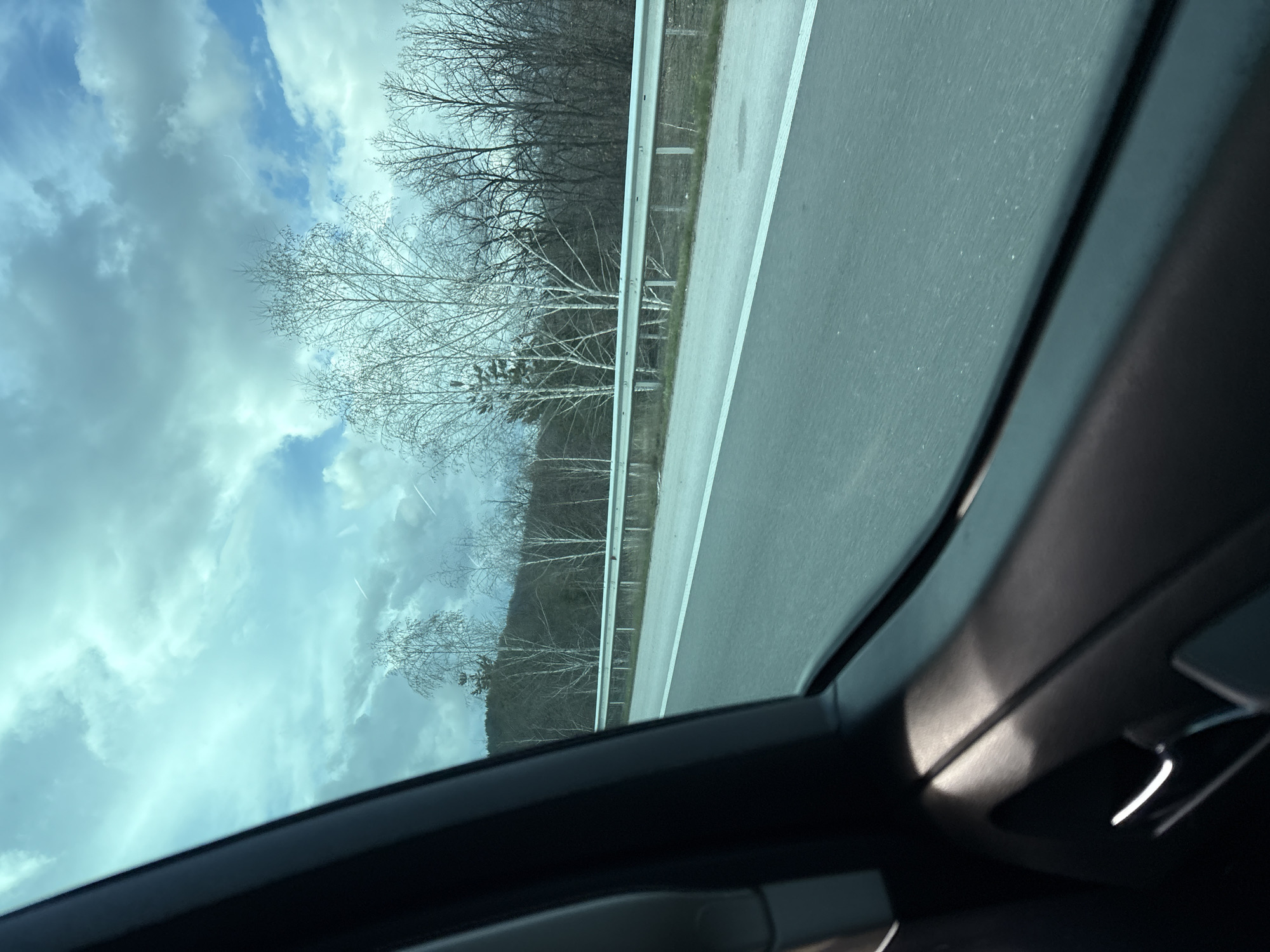 View from inside a car, likely through a sunroof or side window. The scene outside depicts a highway with a roadside barrier. Beyond the barrier are trees, some bare and some with foliage. The sky is cloudy. The location cannot be determined as Lesichovo, Bulgaria from the image details.