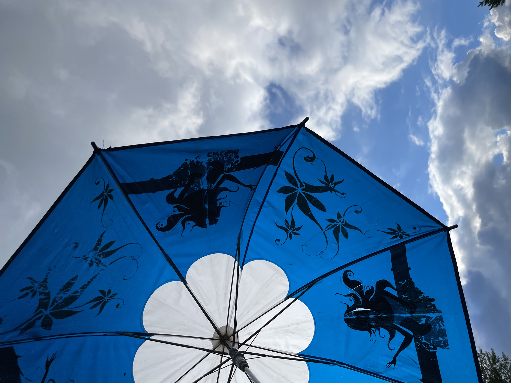 This media file shows a blue umbrella with black silhouettes of stylized flowers and figures against a cloudy sky. The umbrella is open and viewed from below, with its ribs and central mechanism visible. The black designs on the umbrella appear to be a combination of floral motifs and abstract human-like figures with flowing hair. One section of the umbrella prominently features a large white flower shape. The sky is filled with a mix of bright white clouds and darker, more ominous storm clouds, suggesting a dynamic weather pattern. The sunlight filtering through the clouds creates a dramatic lighting effect on the umbrella. The setting is outdoors, likely in a natural environment, given the presence of trees on the right side of the frame, a common sight in rural or suburban areas. The overall impression is one of a beautiful, possibly dramatic day, with the umbrella offering a colorful contrast to the sky. There is no visible text in the image. The scene appears to be from Olkhovka, Russia.
