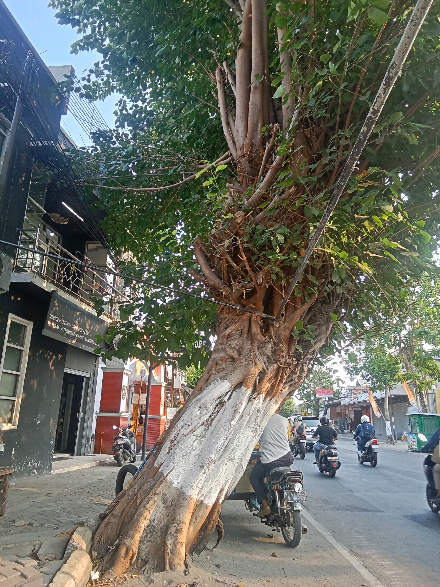 The image captures a street scene in Kaliwungu, Indonesia, dominated by a large, gnarled tree trunk painted white on its lower portion, leaning over a paved sidewalk. To the left, a dark-colored building with multiple windows and a balcony is visible, featuring signage that reads "DEVICE, LIQUID, CARTRIDGE, COIL BATERAI, AUTOMIZER, KAPAS, LANYARD". A black motorcycle is parked on the sidewalk in front of the building. Beyond the tree, a street unfolds with several individuals riding motorcycles. In the distance, more buildings and trees line the road, suggesting a typical urban or semi-urban environment. The sky is clear and bright, indicating daylight. The focus is on the tree and its immediate surroundings, with the moving traffic and buildings serving as background elements.