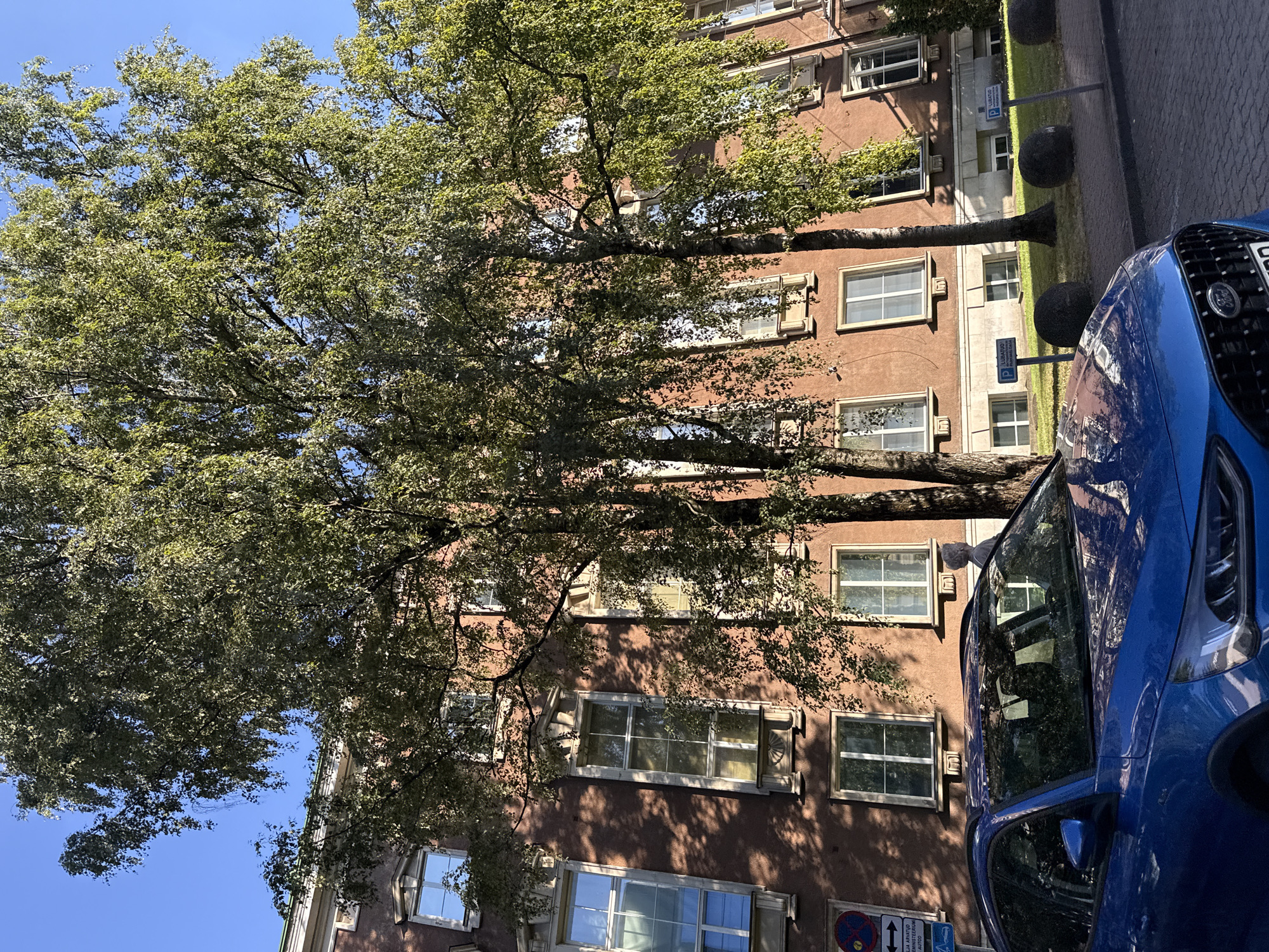 In Tallinn, Estonia, a blue Ford Focus is parked in front of a large, brown, multi-story building. Several tall trees with green foliage are positioned in front of the building, casting shadows on its facade. The building has numerous windows, some of which reflect the blue sky. A sign with blue lettering and a parking symbol is visible near the curb, as are several dark, rounded bollards. The sky is clear and blue.