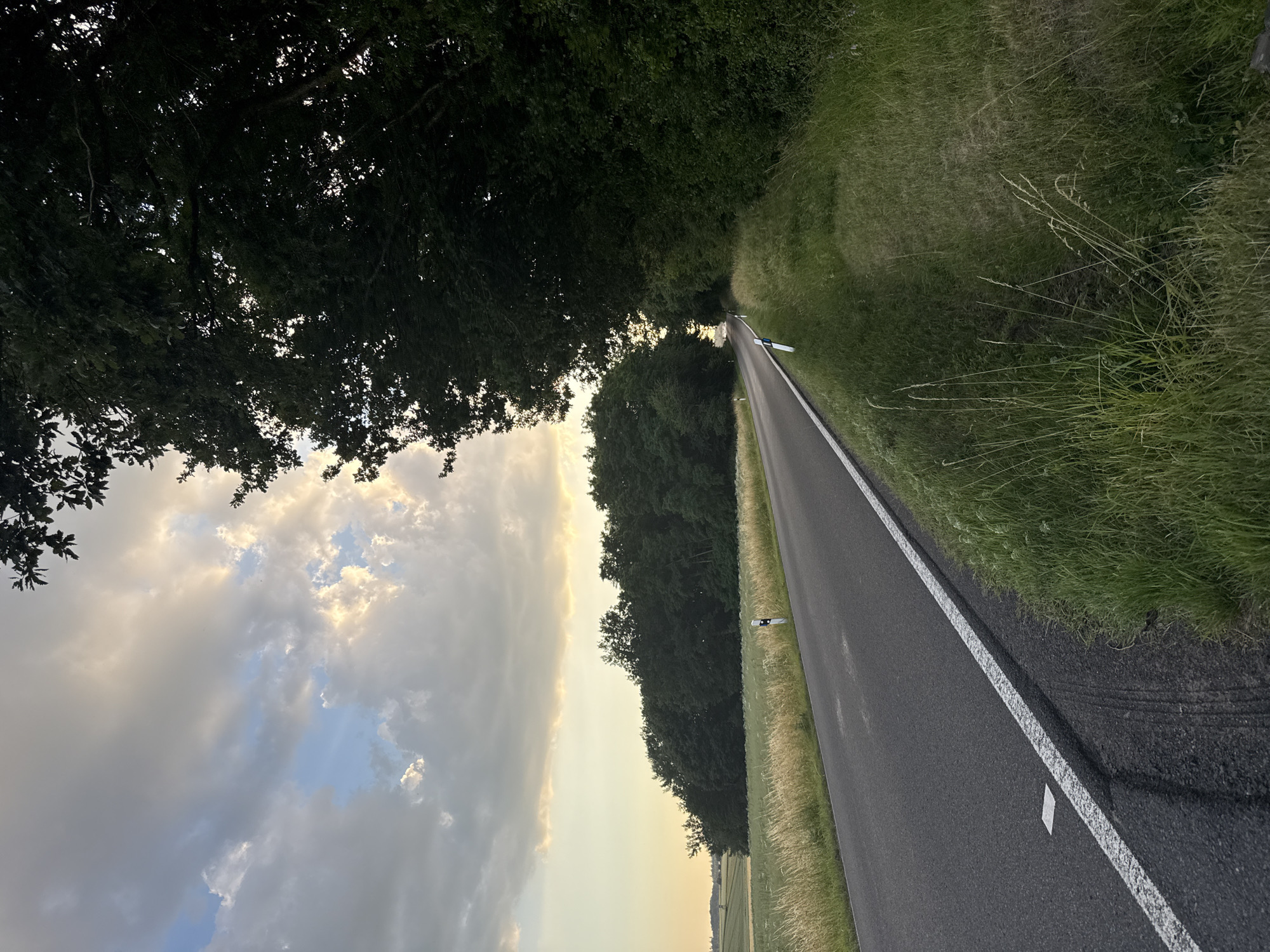 The image depicts a road cutting through a rural landscape in Beltershain, Germany, under a cloudy sky. A dark asphalt road with a white line marking the edge runs from the foreground towards a treeline in the distance. To the right of the road is a grassy verge with tall, wispy grass. On the left side of the road, beyond the verge, is a field of golden grass and beyond that, a dense treeline. A few white and black road markers are visible along the side of the road. The sky is filled with dramatic clouds, with patches of sunlight breaking through. The scene appears to be captured during the late afternoon or early evening. There are no people or animals visible in the image.