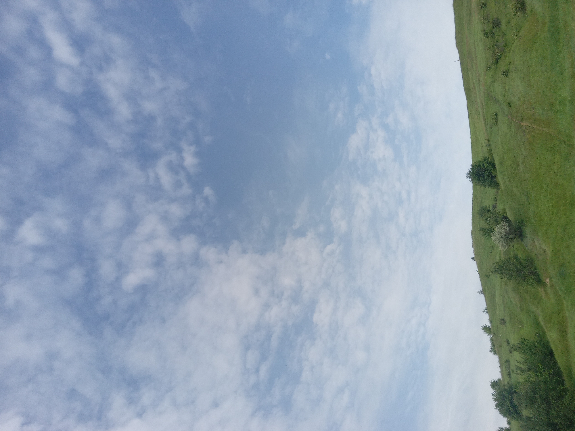 The image displays a natural landscape scene, presented with a 90-degree counter-clockwise rotation. The dominant feature on the right side is a verdant, grassy hillside, suggesting a rural or undeveloped area. Scattered across this green slope are several small bushes and trees, contributing to the natural vegetation. A faint, narrow path or trail can be seen winding upwards on the hillside in certain sections.
The left side of the image is filled with a vast, light blue sky. Numerous white, fluffy clouds are dispersed across the sky, varying in shape and size, indicating a partially cloudy day. The overall impression is one of bright, daytime conditions. No specific activity is taking place, and there are no people or man-made objects prominently visible. No text is present in the image.