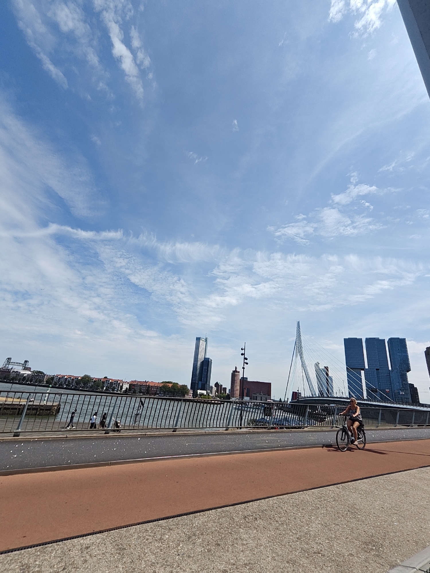 This is a wide-angle, eye-level shot of a pedestrian and bicycle path on a bridge in Rotterdam, Netherlands. The path is divided into a textured grey section and a reddish-brown section. In the foreground, a woman is cycling on the reddish-brown path, wearing a patterned top and shorts, with a bag on her rear rack. Behind her, on the grey path, a metal railing separates the bridge from a body of water. Several pedestrians are walking along the path behind the railing, some appearing to be children. The background features the Rotterdam skyline with several prominent modern buildings, including a tall skyscraper with a blue-green facade, a distinctive cable-stayed bridge, and other office buildings. The sky is bright blue with wispy white clouds. The overall scene depicts an urban waterfront setting with recreational activity.