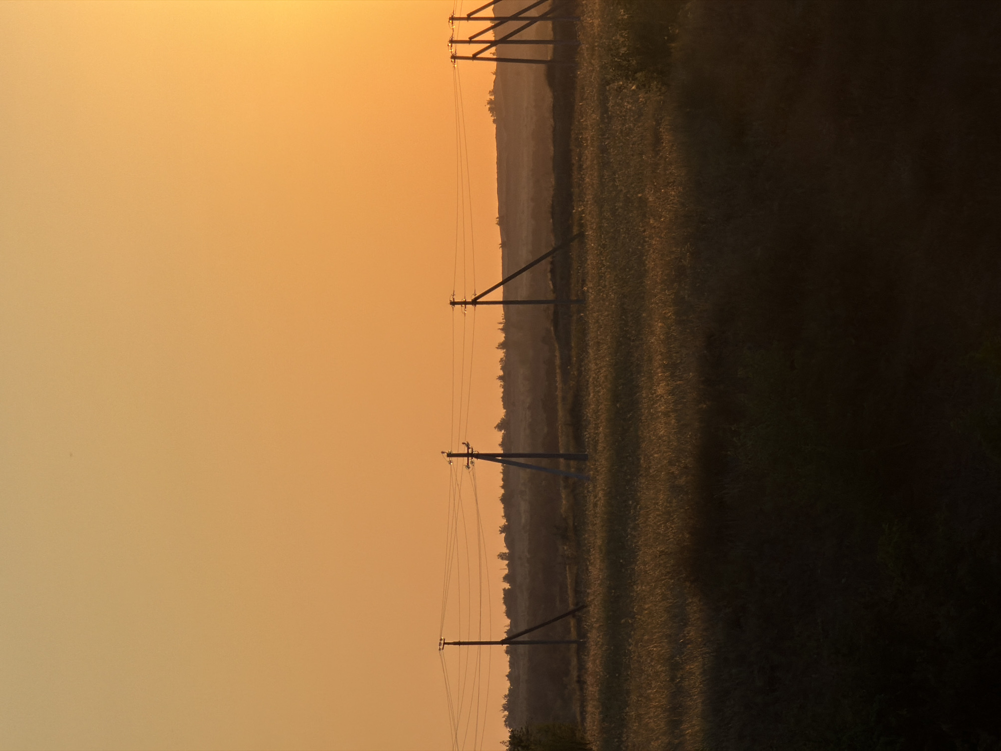 This image depicts a rural landscape at dusk or dawn, likely in or around Kamyshin, Russia, characterized by a warm, orange-hued sky. In the middle ground, several utility poles, some with diagonal braces, support overhead wires that stretch across the frame. These poles are spaced out across a field of tall grass, which is illuminated by the low-angled sunlight, creating a textured, golden effect. The foreground is a dark, silhouetted area, possibly a ditch or a lower-lying field. The background shows a hazy, distant tree line and rolling hills, further softened by the atmospheric conditions. The overall impression is one of quiet solitude and natural beauty, with the man-made structures of the utility poles providing a stark contrast to the organic landscape.