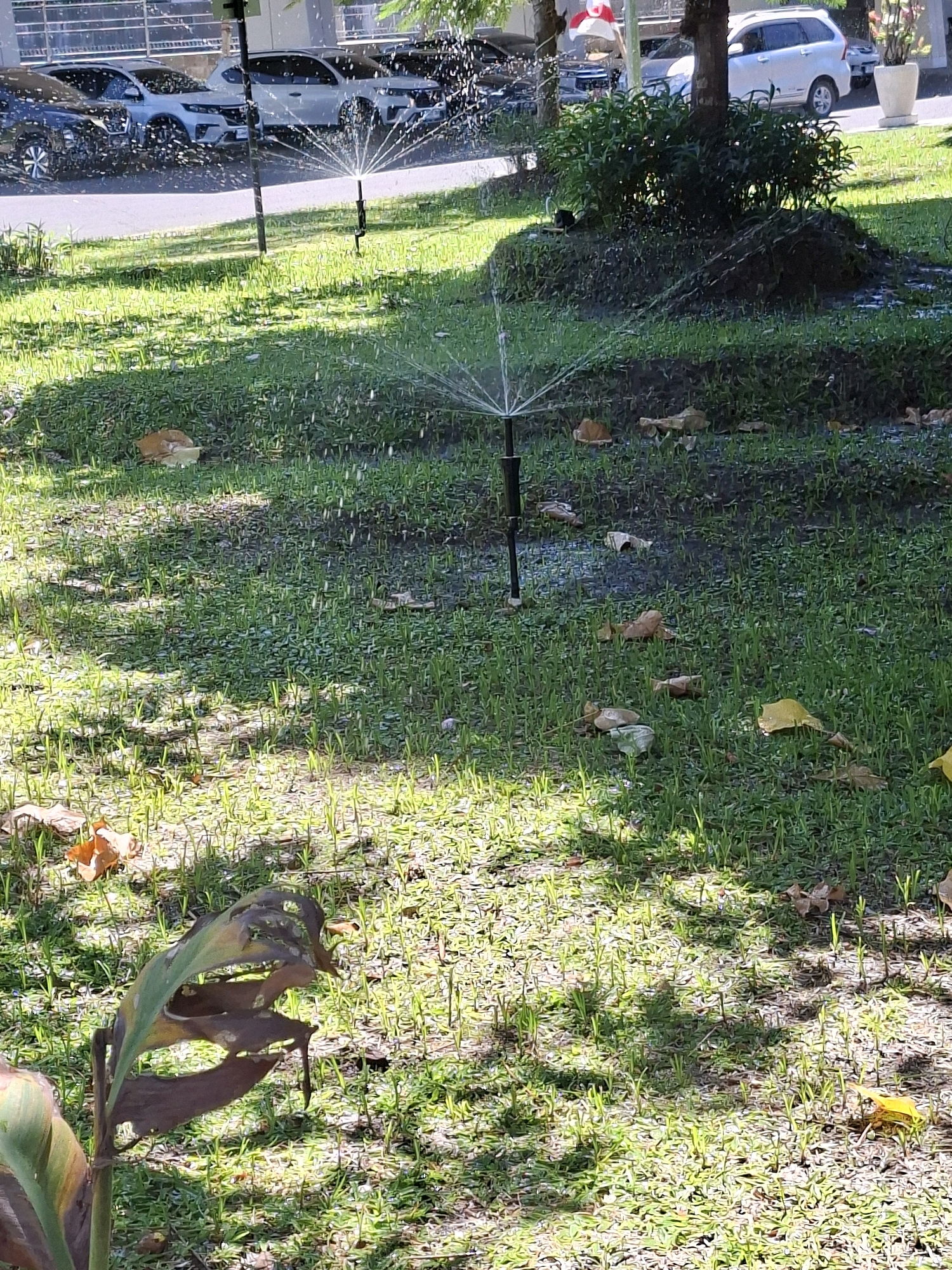 The image depicts an outdoor scene with several lawn sprinklers actively watering a patch of grass, indicating a park or residential area. In the background, parked cars are visible, suggesting a parking lot adjacent to the lawn. A white van, a silver SUV, and a dark-colored car are among the vehicles. One sprinkler is prominently positioned in the foreground, spraying water in a circular pattern. Scattered leaves are also present on the grass. The overall environment suggests a bright, sunny day. The presence of these elements points to a common urban or suburban landscape in Surabaya, Indonesia, where such public or private green spaces with watering systems are prevalent.