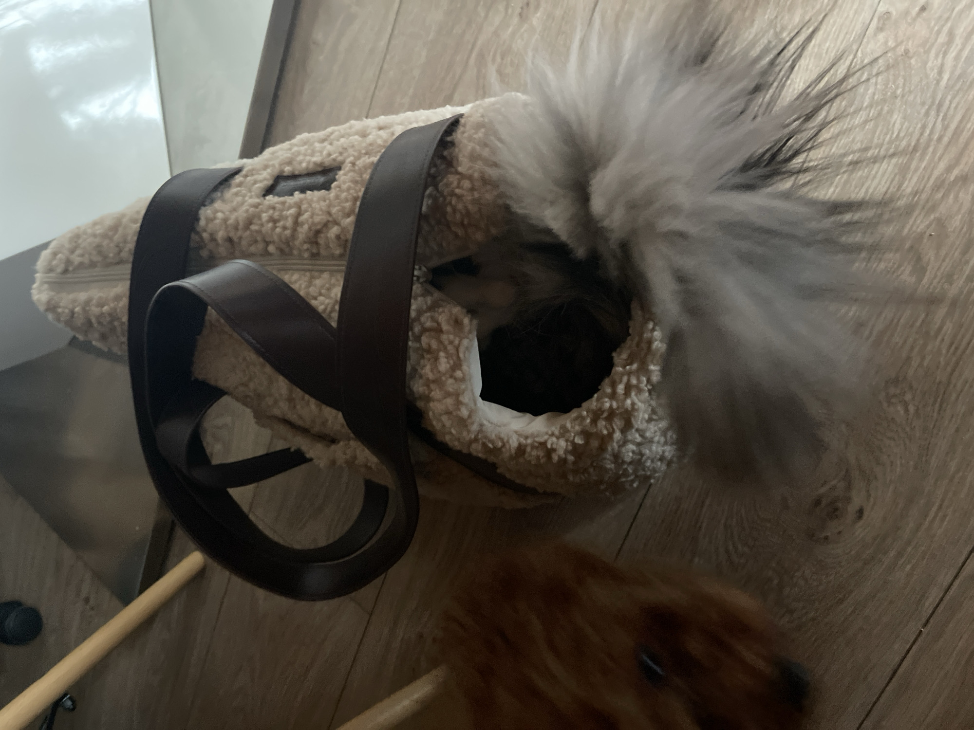 A close-up, slightly angled shot reveals a beige, sherpa-style pet carrier with dark brown leather straps, resting on a wooden floor. A fluffy, grey-white animal, likely a dog, is partially visible inside the carrier. A portion of a brown dog is in the bottom of the frame. The scene is located indoors.