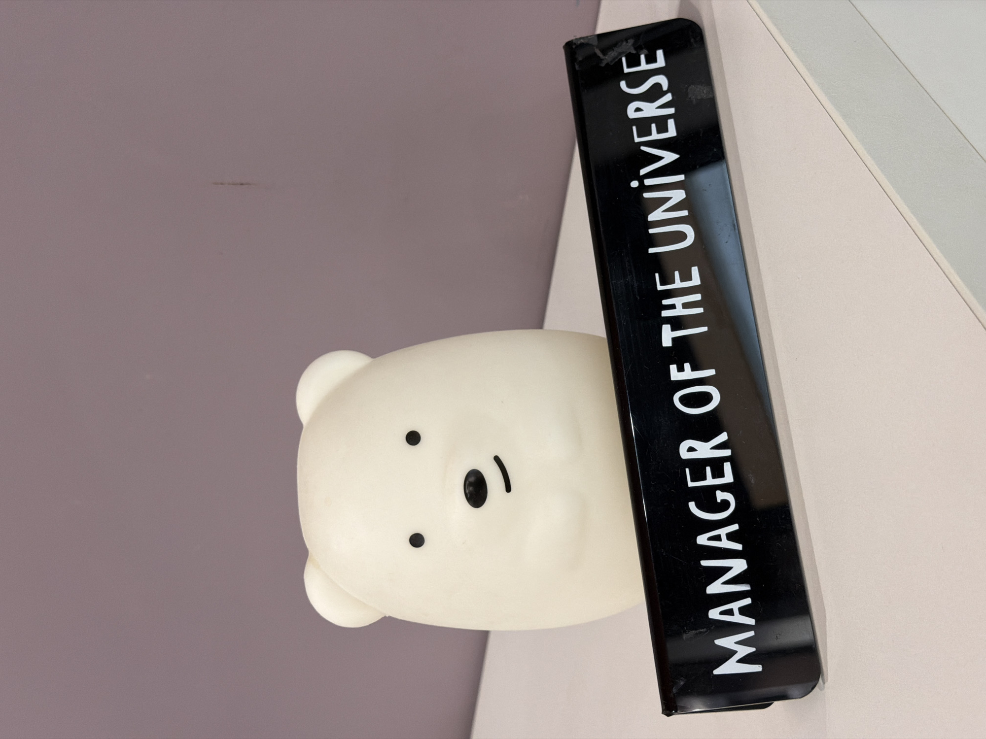 A white bear-shaped novelty lamp sits on a light-colored surface. In front of the lamp is a black plaque with white text that reads "MANAGER OF THE UNIVERSE." The background is a plain, muted purple wall. The lighting is soft, casting a subtle shadow to the right of the lamp and plaque. The overall scene appears to be indoors, possibly on a desk or shelf, in a clean and minimalist environment. There is no indication of the specific location within the city of Kaliningrad, Russia, or any other specific location.