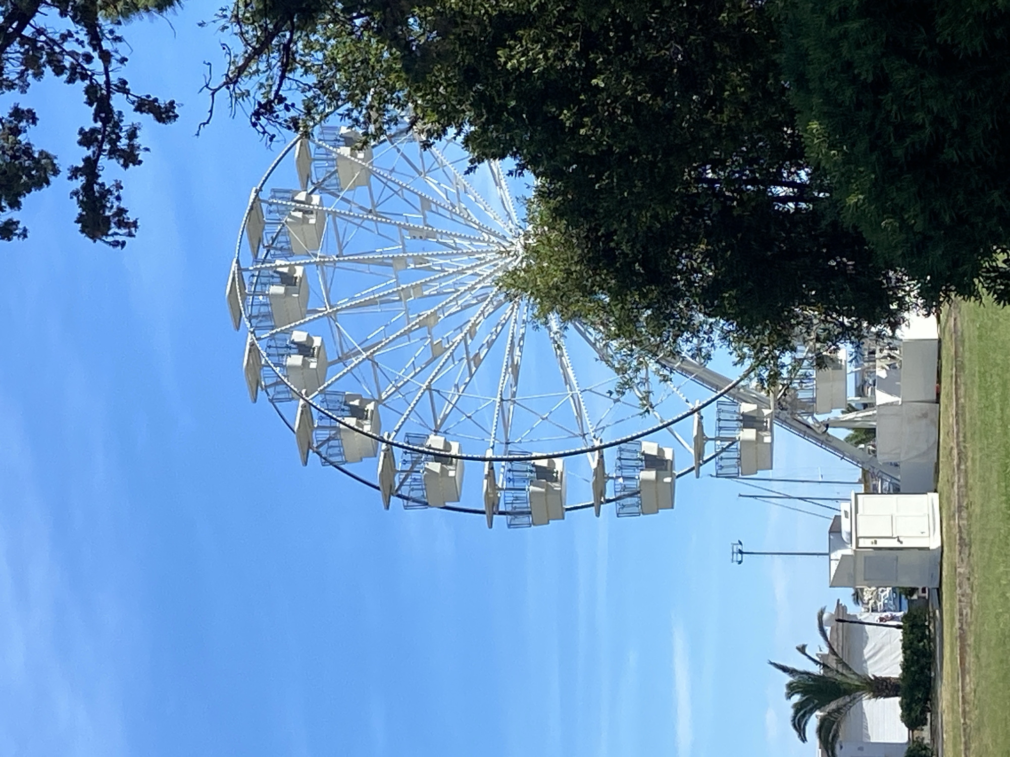 The image shows a large white Ferris wheel against a clear blue sky, partially obscured by lush green trees. Several white gondolas with blue-tinted windows are visible on the wheel. In the foreground, a grassy lawn is bordered by green bushes. To the left, a palm tree stands next to white buildings, one of which appears to be a small kiosk or booth. The background includes a lamp post and masts of boats. This scene is characteristic of the waterfront area in Budva, Montenegro, likely near the marina or promenade. No people are clearly discernible in the image. The overall impression is a sunny day at an amusement attraction or recreational area.