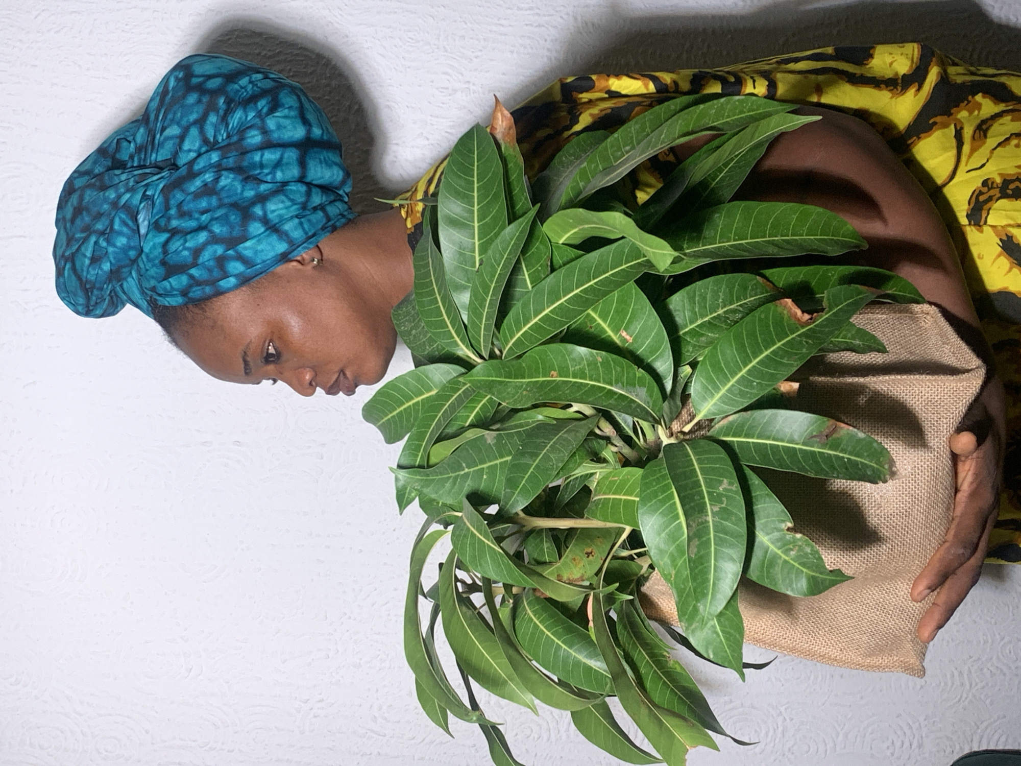 A woman wearing a blue headscarf and yellow patterned clothing is holding a burlap sack containing mango leaves. The background is a white textured surface. The location is assumed to be Barakin Akawo, Nigeria.