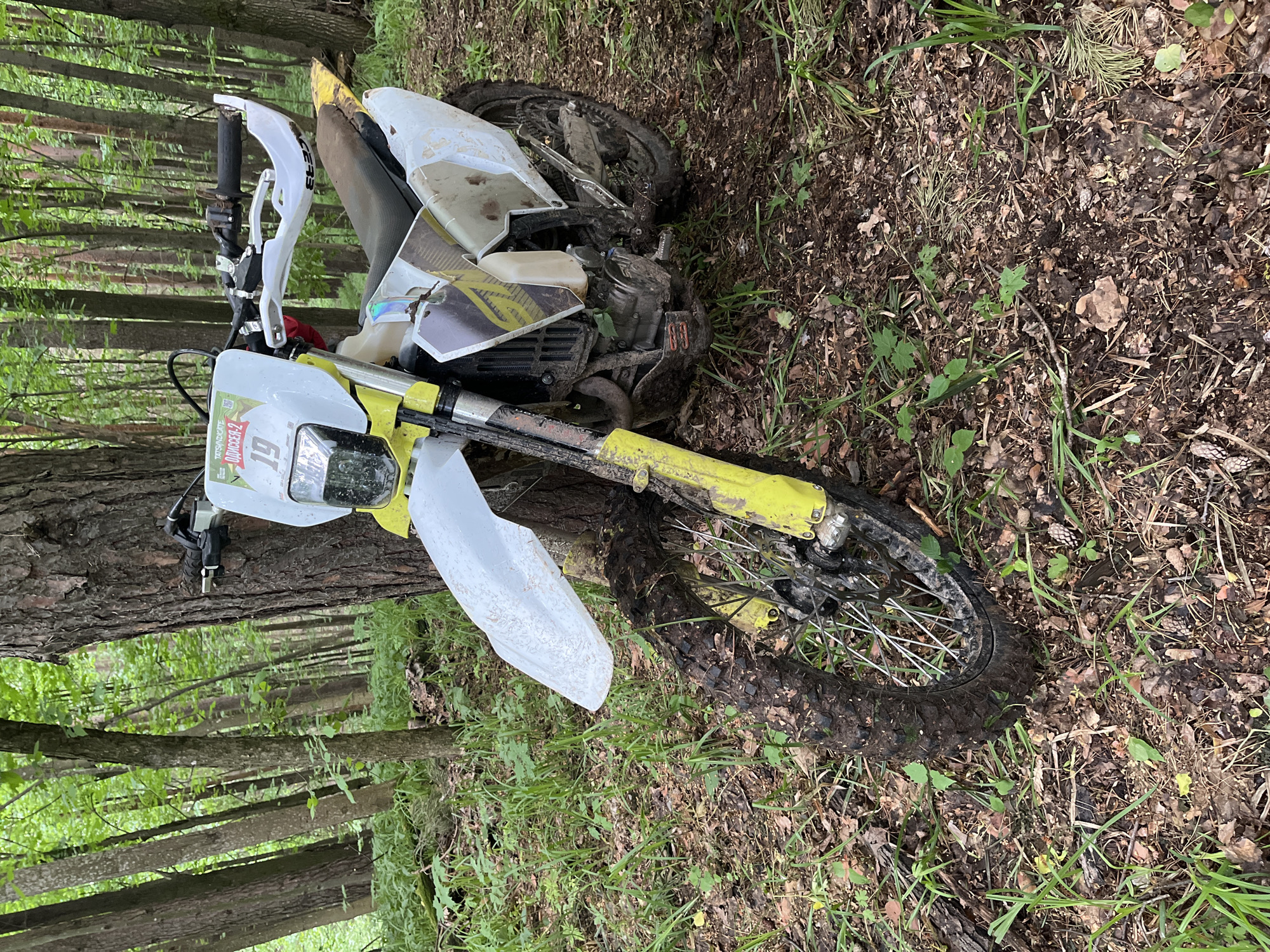 A white and yellow dirt bike lies on its side in a forest, possibly in Gruzinskii, Russia. The bike is covered in mud, suggesting recent use. The surrounding environment consists of trees, grass, and leaf litter. There are no visible people in the image. The location is likely a wooded area near or in Gruzinskii. The interaction is implied: the bike was being ridden in the area and has fallen over.