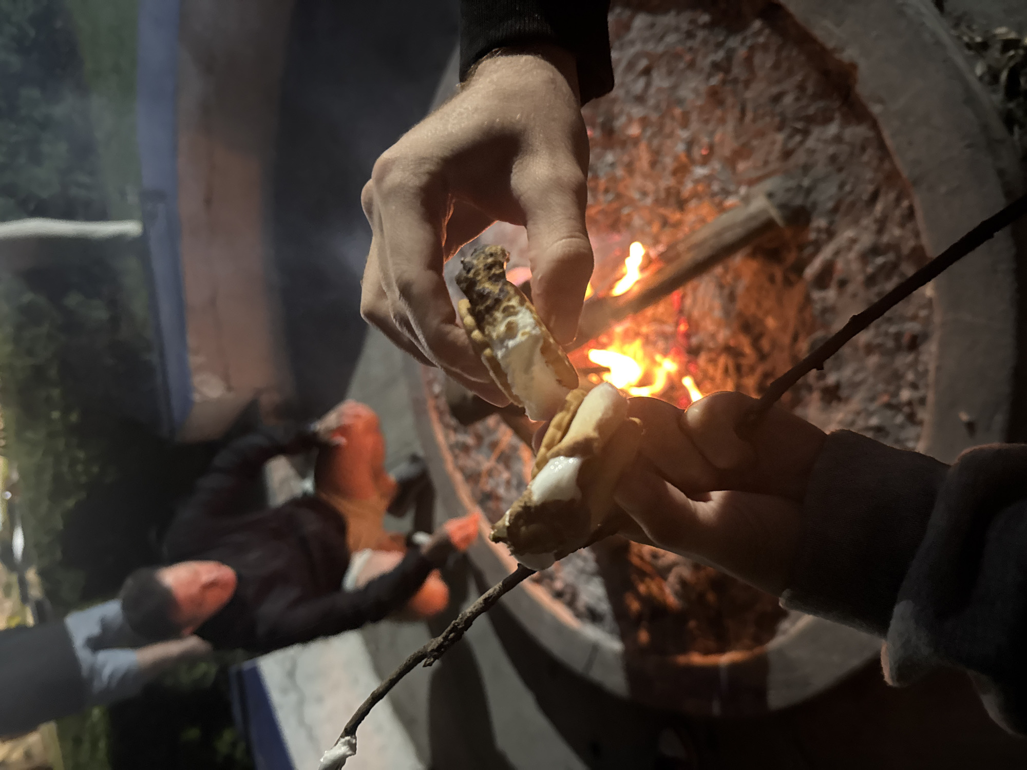 A close-up, low-angle shot depicts two people roasting marshmallows over a fire. A pit containing a fire of burning logs is visible. A fair-skinned person on the left holds a s'more. A second person on the right holds a marshmallow on a stick above the fire. The scene may be taking place at night. The location is not possible to determine.