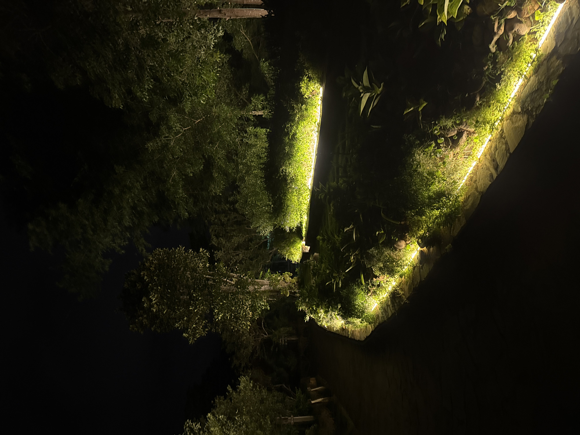 The image depicts a nighttime scene in Moc Chau, Vietnam, featuring a stone pathway winding through lush vegetation. The pathway is illuminated by a string of warm yellow lights embedded along its edge, casting a soft glow on the surrounding plants and foliage. Trees with dense canopies are visible in the background, their leaves partially lit by the artificial light. The overall atmosphere is serene and tranquil, suggesting a well-maintained garden or park area. There are no people or animals visible in the frame. The lighting creates dramatic shadows, enhancing the depth and texture of the natural elements. The image appears to have been taken with a mobile phone camera, as evidenced by the aspect ratio and the lighting conditions.