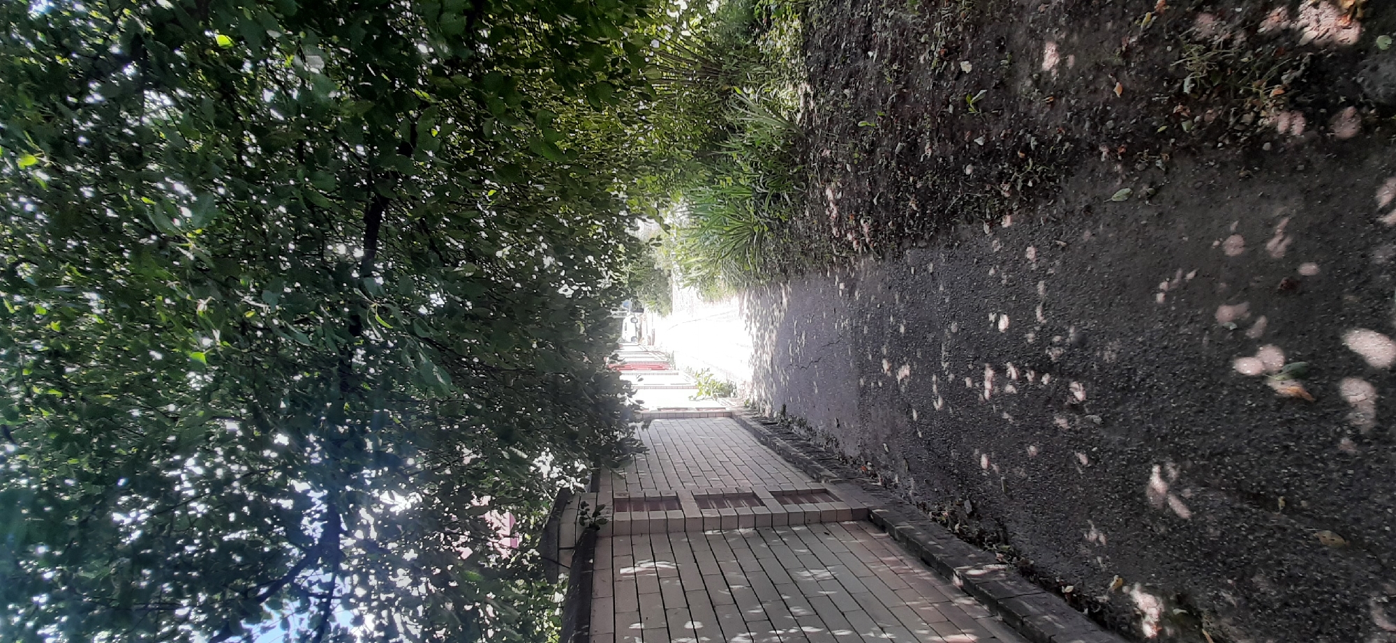 The image depicts a sun-dappled pathway in Yessentukskaya, Russia. The pathway is bordered on the left by lush green trees, their leaves creating a canopy that casts dappled shadows on the ground. To the right of the pathway, the ground is covered in dark soil and vegetation, also dotted with sunlight.
The pathway itself is paved with light-colored rectangular bricks, laid in a repeating pattern, creating a clean and well-maintained look. Further down the path, the paving transitions to an asphalt surface, which is also covered in the characteristic patches of light and shadow. In the distance, the pathway leads towards a bright area, suggesting an open space or the end of the path.
The overall impression is one of a tranquil outdoor setting, likely a park or a residential area, on a clear day. The time of day appears to be late morning or early afternoon, given the angle and intensity of the sunlight. There are no people or specific objects that are immediately identifiable as primary subjects, allowing the focus to remain on the natural elements and the pathway itself. The scene evokes a sense of peace and natural beauty. No visible text is present in the image.