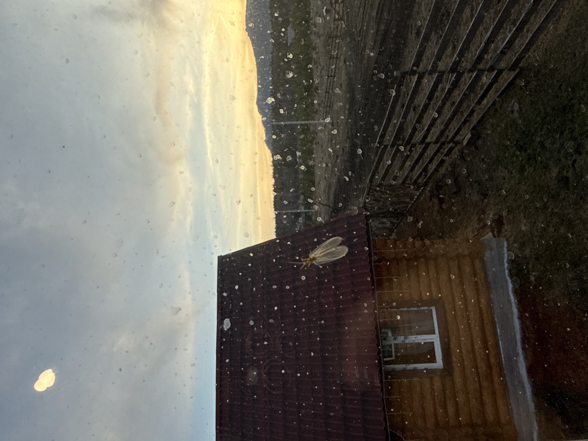 The image appears to be taken from inside, looking out through a window. Raindrops or water spots obscure the view on the window's surface. Outside, there's a view of a wooden structure, likely a house or building, with a visible window. A winged insect is resting on the surface. In the background, a fence or railing and some trees or foliage are visible. The sky is overcast with the colors of a sunset or sunrise. Although not confirmed from the image, the prompt indicates the location is Tyulyuk, Russia.