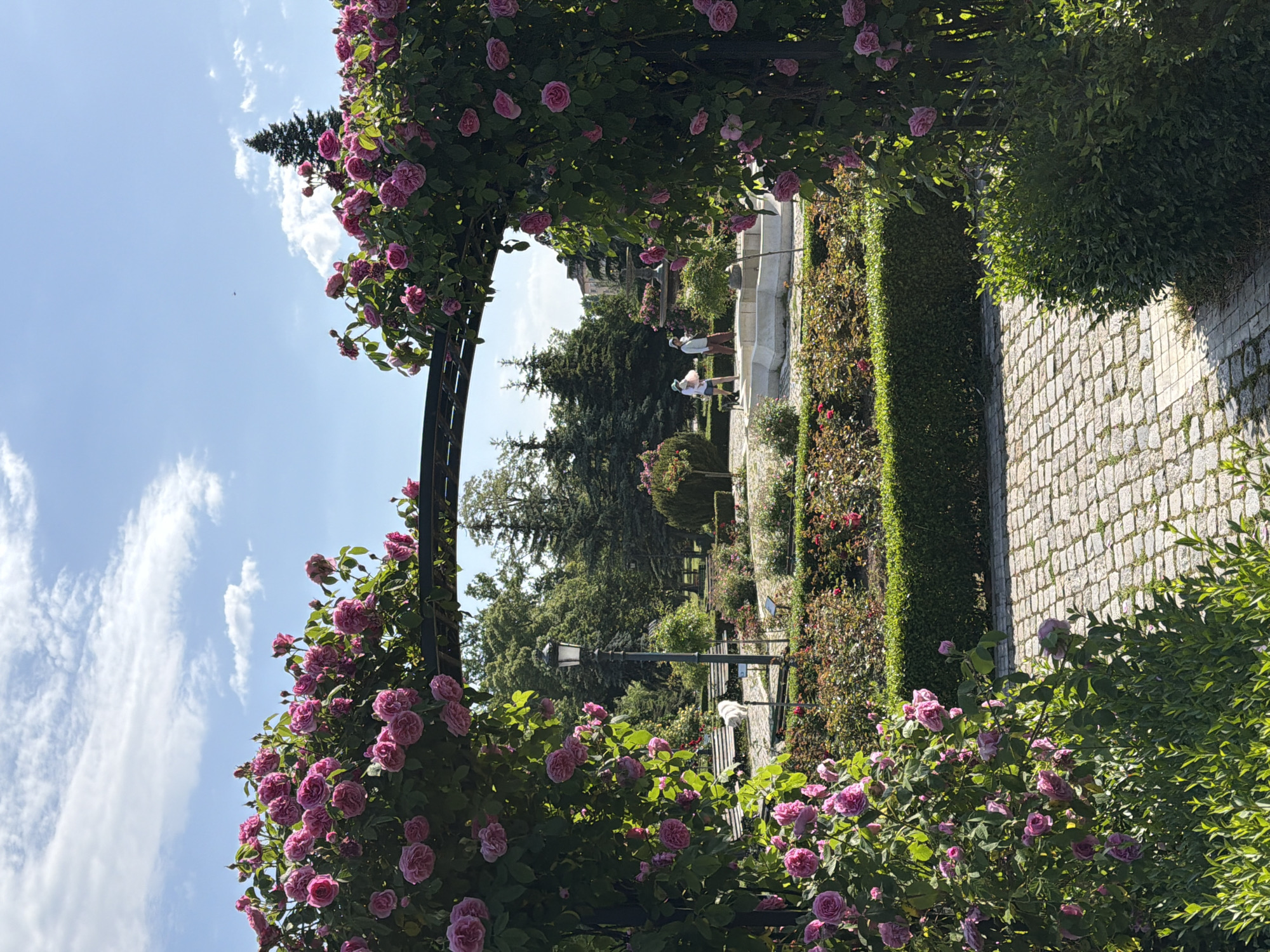 The photograph shows a view within a garden, framed by an arch covered in pink roses. Two people stand in the distance near a stone water fountain. The scene includes trees, benches, a lamppost, and neatly trimmed hedges. To the right of the frame, a cobblestone pathway is visible. The location is the City Garden in Sofia, Bulgaria.