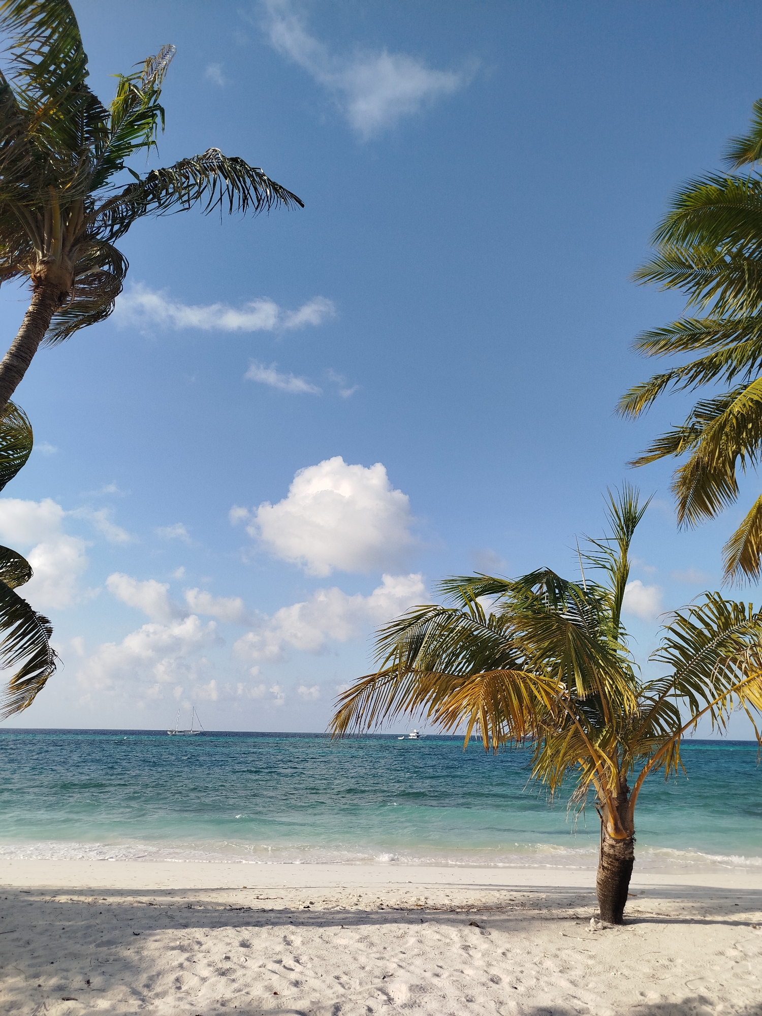 This image depicts a tranquil beach scene in Hinnavaru, Maldives. The foreground is dominated by fine white sand, with sparse debris. Several palm trees, with their fronds casting shadows, frame the view. The middle ground features the vibrant turquoise ocean, with gentle waves lapping at the shore. Two small boats are visible in the distance on the water. The sky above is a clear blue, dotted with scattered white clouds. The overall impression is one of a serene tropical paradise.