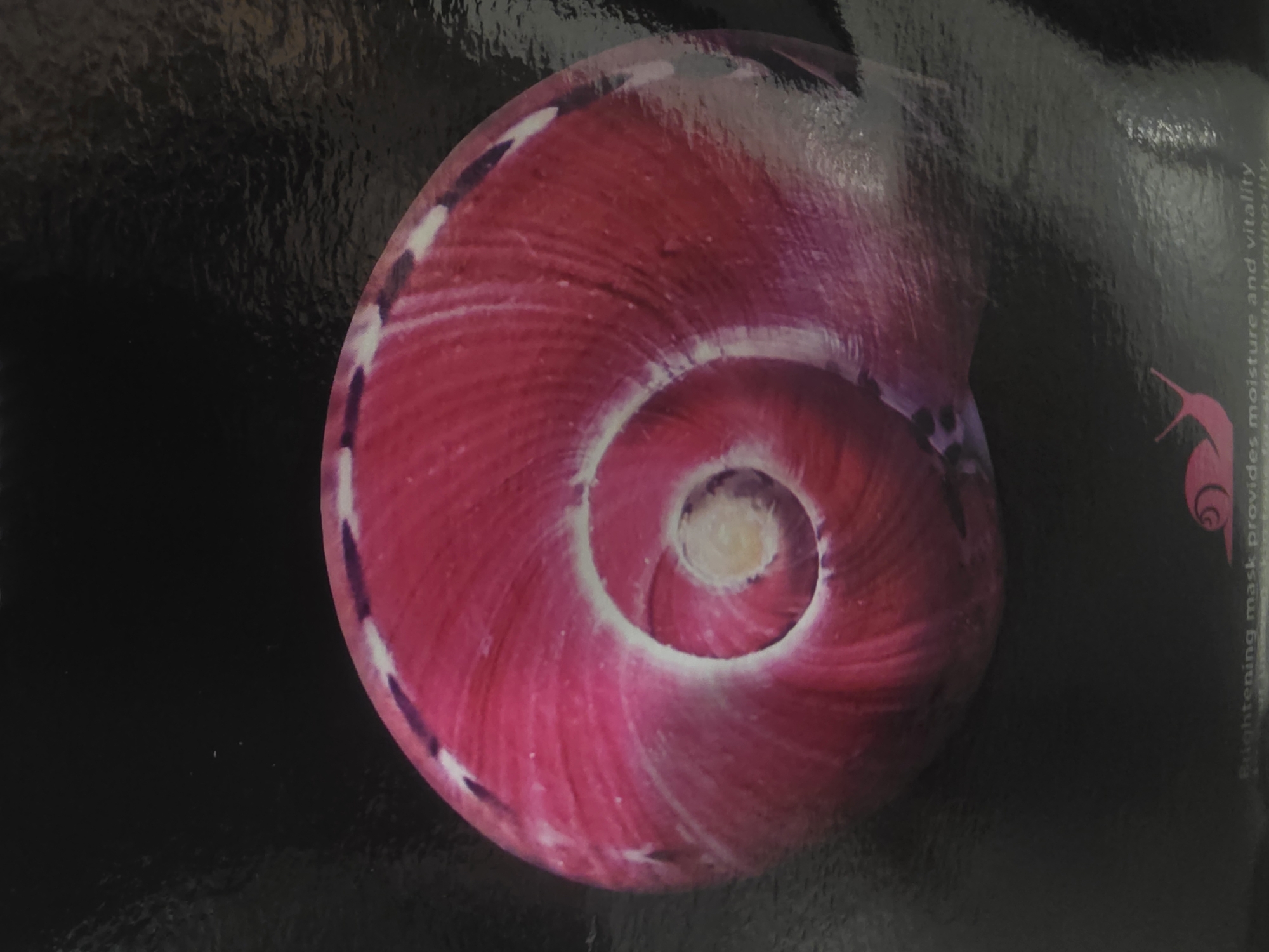 This is a close-up studio photograph of a pink, spiral-patterned object, likely a shell or a stylized representation of one. The object is centered in the frame and is set against a dark, textured background. The spiral is detailed with varying shades of pink and white, creating a sense of depth and movement. The lighting highlights the contours of the spiral. In the bottom center of the image, a faint pink silhouette of a snail is visible, with the text "Brightening mask provides moisture and vitality" below it. The image does not contain any information about the city of Bila Tserkva, Ukraine.