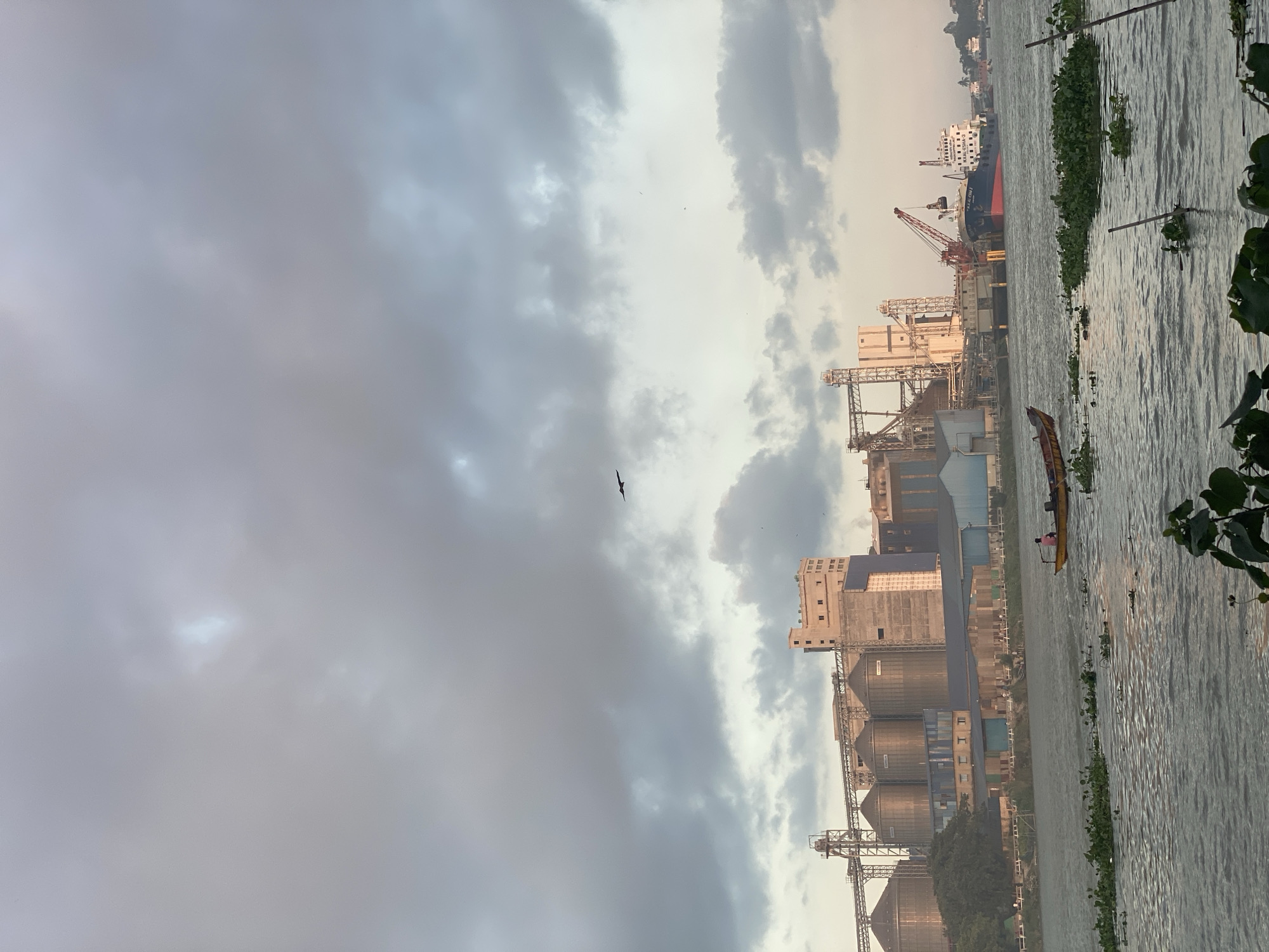 This is a wide shot photograph of a waterfront industrial area in Dhaka, Bangladesh, likely taken at dusk or dawn due to the soft, diffused lighting and the overcast sky.
In the foreground, a body of water, possibly a river or canal, occupies the lower third of the image. The water is rippled, indicating some movement. Patches of green aquatic vegetation are visible on the surface, with some of it reaching towards the bottom of the frame. A small, yellow boat with a single person wearing a pink shirt is moving from right to left across the water.
Dominating the middle ground and background is a large industrial complex. This includes several tall, cylindrical grain silos, a multi-story building with visible windows, and various industrial structures with pipes and scaffolding. To the right of the silos, a large cargo ship is docked at a pier, with a crane actively loading or unloading cargo onto the ship. Another smaller ship is visible further in the distance.
The sky is filled with dramatic, grey clouds, with some lighter areas suggesting breaks in the cloud cover or the setting/rising sun. A single bird is silhouetted against the sky, flying towards the left of the frame. The overall atmosphere is one of industrial activity within a potentially busy port area of Dhaka.