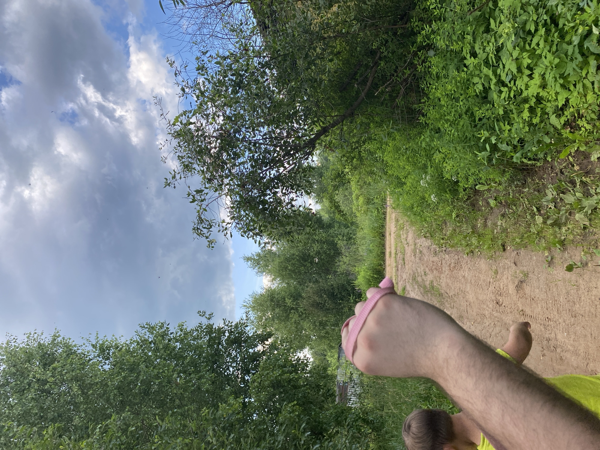 The image depicts a hand holding a pink leash, with a child's head visible in the lower right corner, suggesting they are walking together. They are on a dirt path surrounded by lush green foliage and trees. The sky above is a mix of blue and gray clouds, indicating potentially mixed weather. The sunlight filtering through the trees suggests it is daytime. The overall scene evokes a sense of a casual outdoor activity, possibly a walk in a park or a nature trail in Novyi Ural, Russia. There is no visible text in the image.