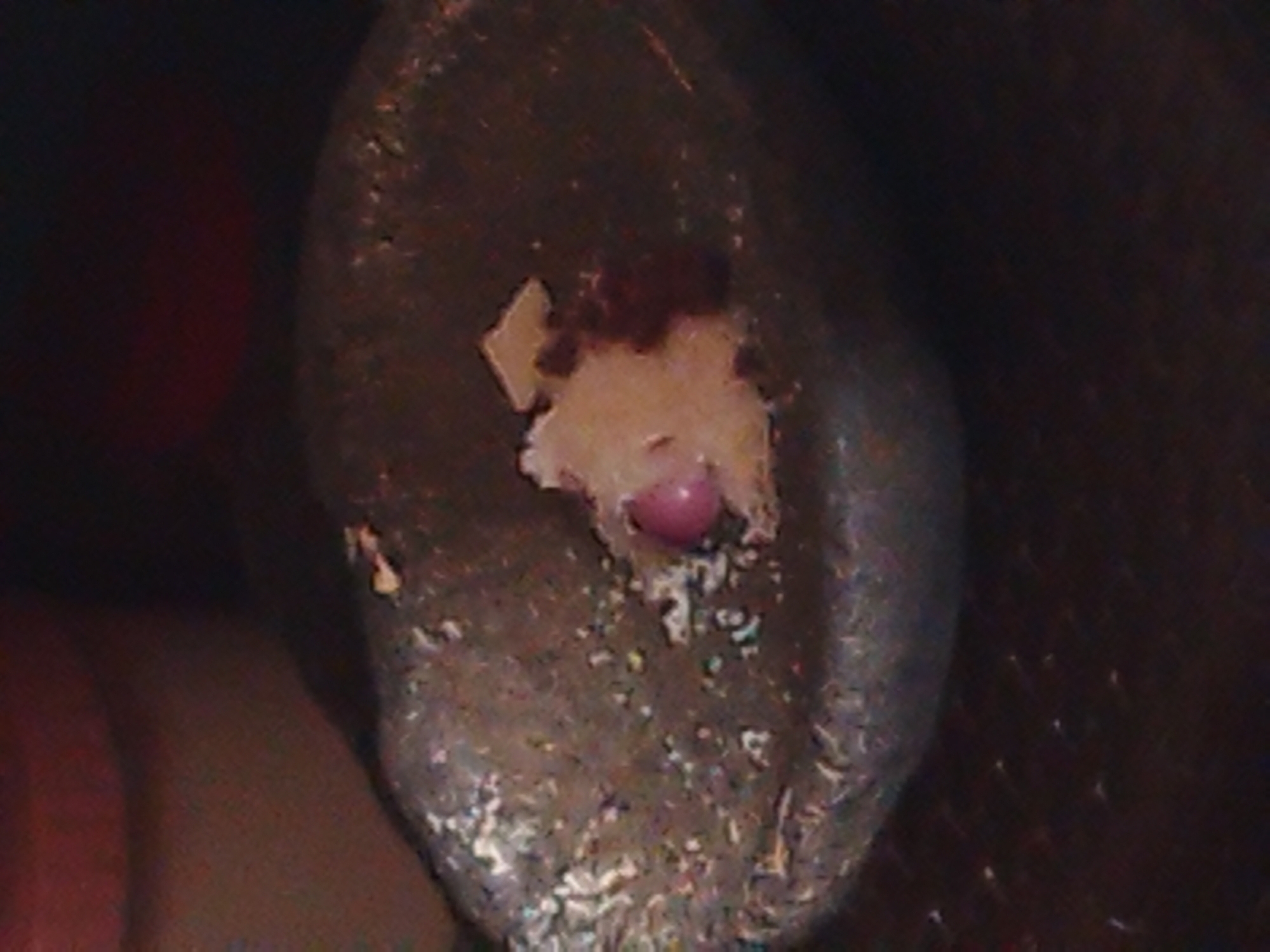 The image shows a close-up view of a small, round, pink object, possibly a bead or a small fruit, resting on a light-colored, irregularly shaped substance. This substance is speckled with small, multicolored particles, and appears to be contained within a rough, textured, grayish bowl-like object. The background is dark and out of focus, with hints of red and brown. The scene is dimly lit. The location in Batu, Indonesia, is not determinable from the image.