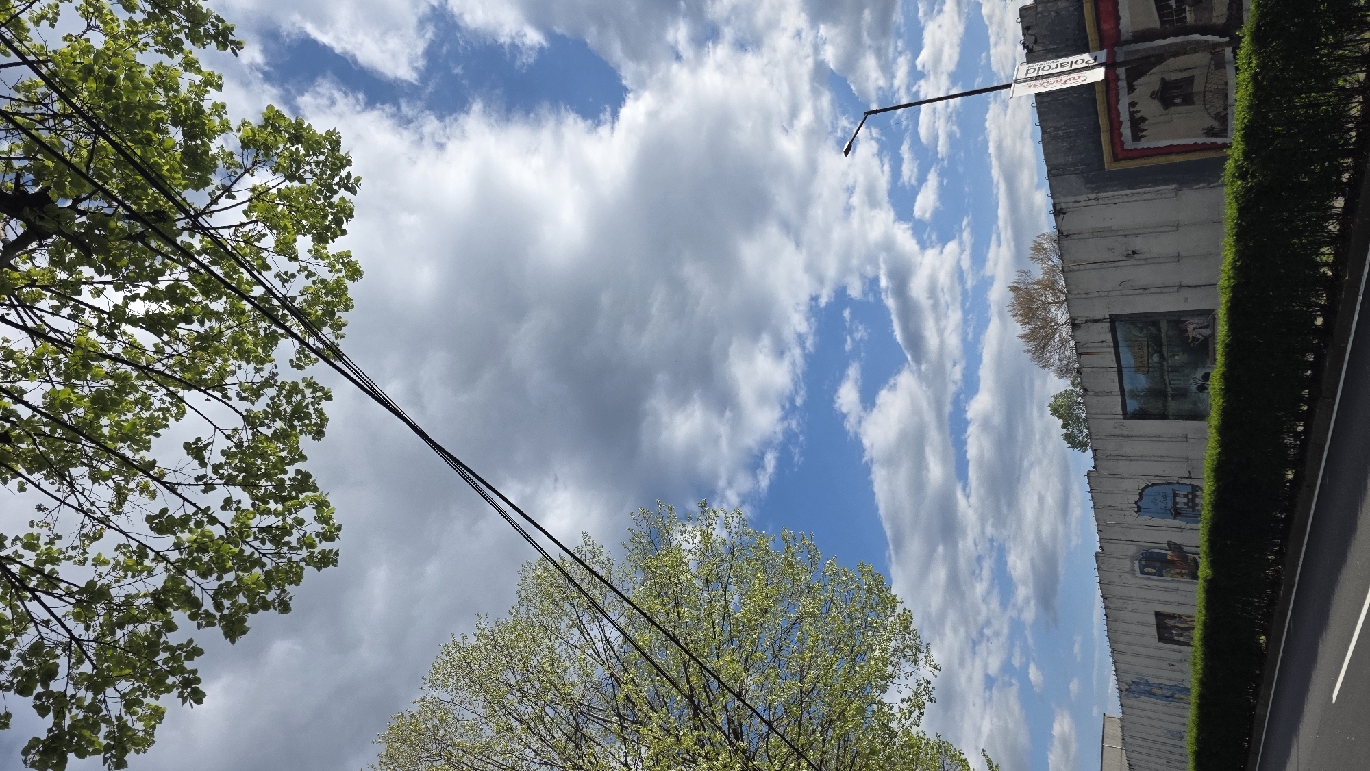 The image depicts a view of the sky with trees, power lines, a building with murals, and street signs in Blagoevgrad, Bulgaria. The sky is partly cloudy with blue patches. Green trees with leaves are visible on either side of the frame. Power lines run diagonally across the center of the image. On the right, there's a building with faded murals and a street sign that includes the word "Polaroid." A green hedge runs along the building. A road is visible at the bottom right corner.