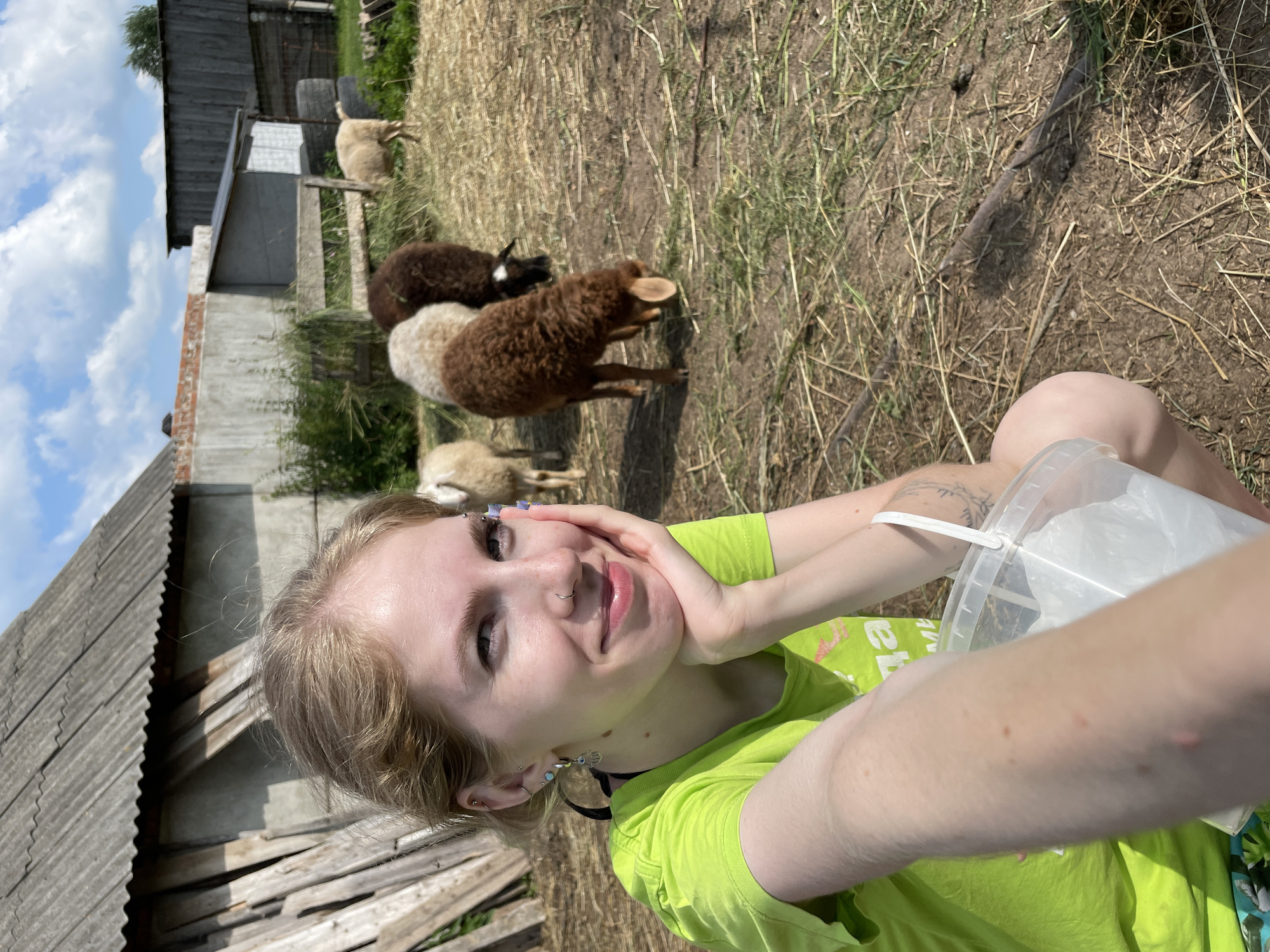 A young woman with blonde hair, wearing a lime green t-shirt, is in the foreground, taking a selfie. She is smiling and resting her chin on her hand. She has several piercings on her ears and nose, and a tattoo on her left arm. In the background, several sheep are grazing in a dry, grassy area. Behind the sheep, there are several wooden structures, including a shed and a fence. The sky is blue with some clouds. The scene appears to be a farm or rural setting, possibly in the city of Сям-Можга, Russia.