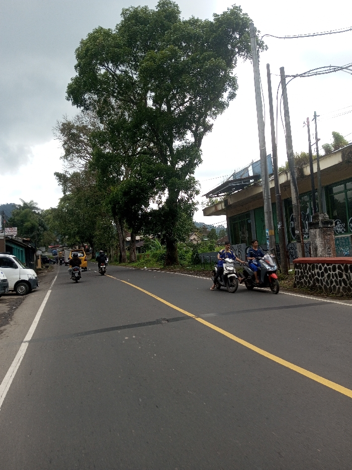 This image depicts a street scene in Ura-Dozhi, Bhutan, under an overcast sky. An asphalt road, marked with a double solid yellow line in the center and a white line on the left shoulder, extends from the foreground into the background.
On the right side of the road, two individuals are present on separate motor scooters. A male, wearing a blue shirt, is seated on a white scooter positioned to the left. To his right, a female, also in a blue shirt, is seated on a red scooter, with her right hand extended, appearing to hold or assist the white scooter. These two scooters are positioned near the roadside, adjacent to a low-rise building. This building features a dark stone-patterned base, a light-colored upper facade with some graffiti, green-framed windows or doors, and a flat roof with some exposed elements. Several utility poles with overhead wires are visible in front of and above this building.
Further down the road, three additional individuals are visible on motor scooters, traveling away from the viewer in the main traffic lane. One of these scooters is yellow. On the left side of the road, a white minivan or small utility vehicle is parked on the shoulder, partially obscured by trees. A yellow van is also visible further down the road on the left.
The left side of the road is lined with several large trees, featuring dense green foliage, and various other smaller buildings and vegetation. In the distant background, hills or mountains are discernible.