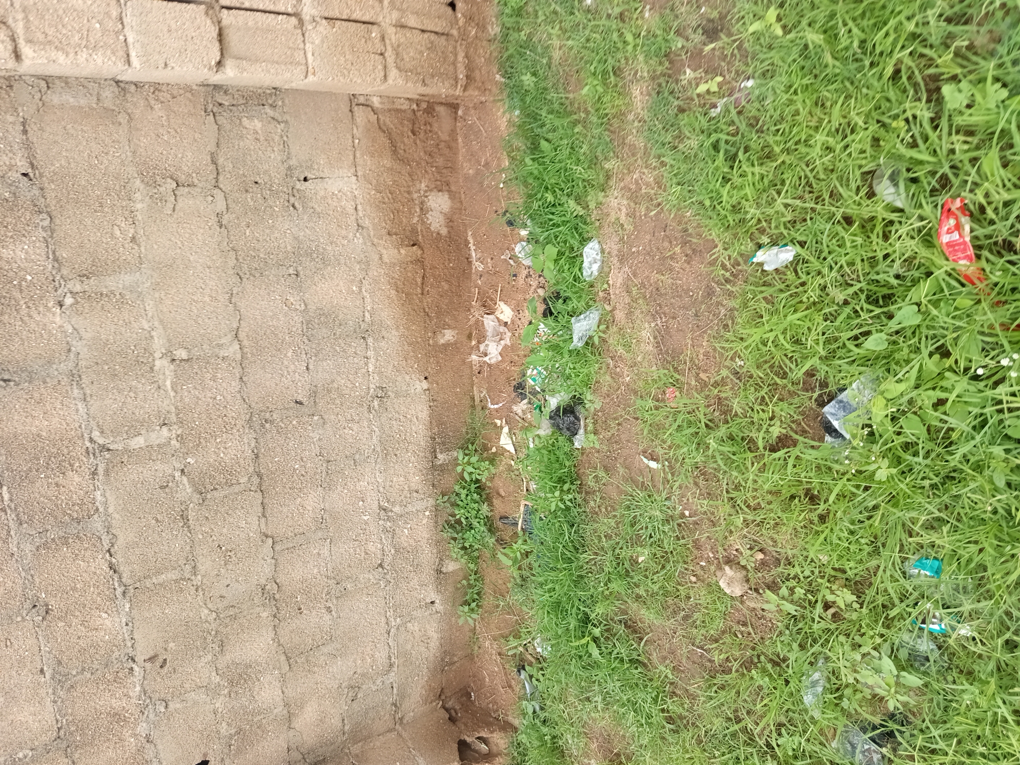 A low-angle, eye-level shot captures an outdoor scene at the base of a light brown, rough-textured concrete block wall. The wall occupies the top half of the frame. Below the wall, a strip of dry brown earth transitions into an area of green grass. The grass is interspersed with various pieces of litter, including plastic bottles, dark plastic bags, and crumpled white plastic. In the foreground, the grass is denser and also contains scattered litter. The ground surface is a mix of soil and grass. The lighting suggests it is daytime. The location is described as Unknown, Unknown.