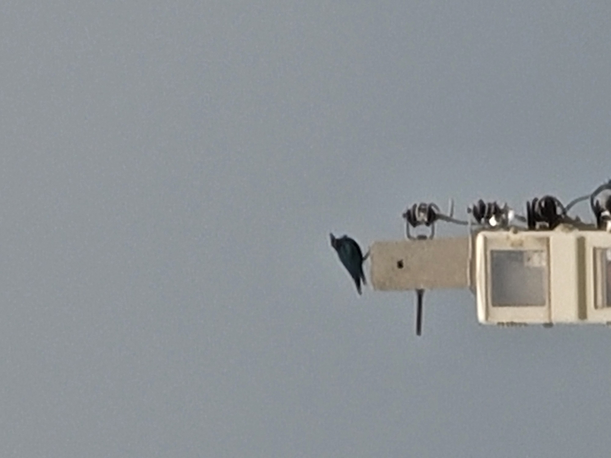 A lone black bird with its beak pointing slightly upward is perched on top of a light-colored, rectangular pole. The pole is part of a larger structure that appears to be some form of telecommunications equipment, with various wires and metallic components visible below the bird. The structure is set against a pale, overcast sky. The scene is devoid of any human presence or other visible life forms. The image does not provide any specific landmarks or contextual details that would allow for precise identification of its location within Barakin Akawo, Nigeria.