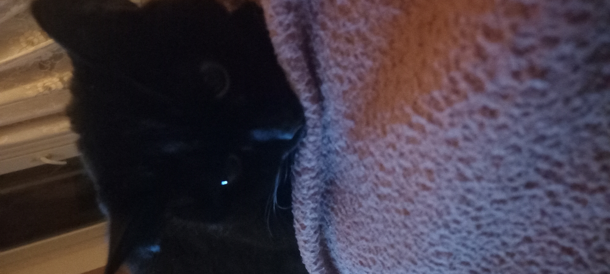 A close-up shot depicts a black cat partially obscured by a textured fabric, possibly a blanket or sweater, on the right side of the image. The cat's head and upper body are visible on the left, with a faint blueish reflection in what appears to be its eye. The cat is close to a window frame in the top left. The image is dimly lit. There is no information to indicate this image was taken in Kryvyi Rih, Ukraine.