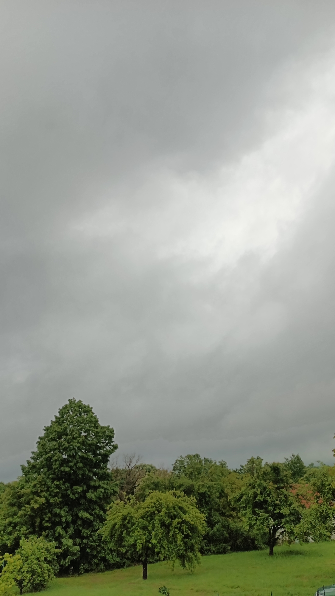 The image shows a view of trees and grass under an overcast sky. The location is Mihaylovtsi, Bulgaria. The sky is filled with grey and white clouds. In the lower portion of the image, there are several green trees of varying sizes. Below the trees, there is a patch of green grass. No people, actions or interactions are visible in the image.