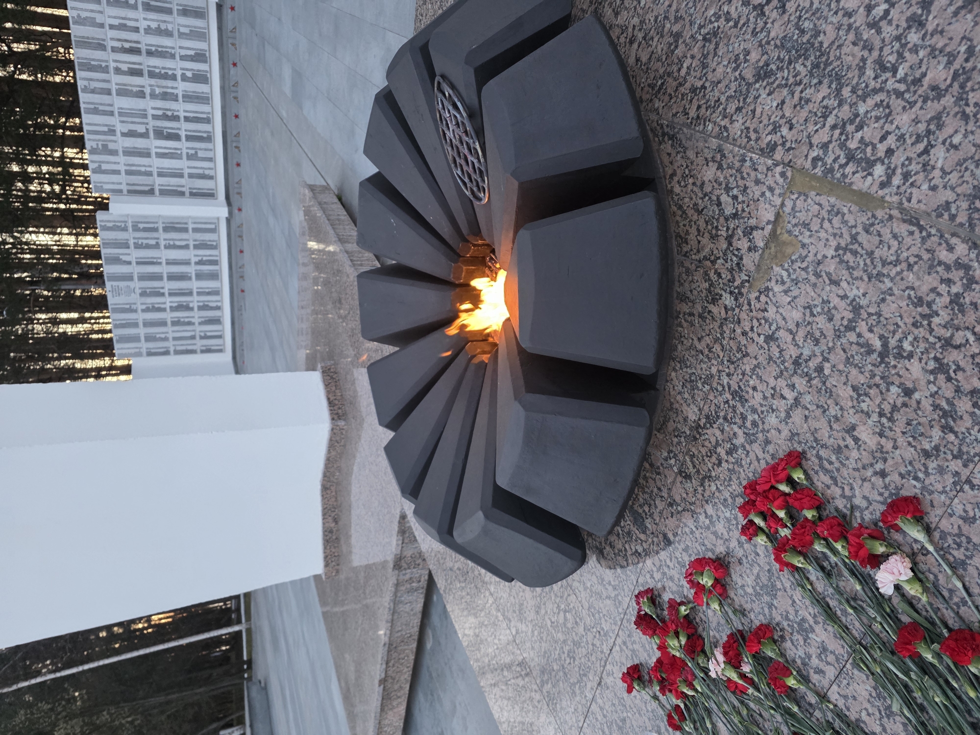An eternal flame, shaped like a dark gray, segmented flower or star, burns brightly with orange and yellow flames in the foreground. It rests on a textured granite floor, composed of light pink and black speckled stone. Scattered on the ground near the flame are numerous red carnations, interspersed with a few lighter pink or white ones, indicating a recent act of remembrance or tribute.
In the background, behind the flame, several long, white memorial walls stretch across the scene. These walls are covered with rows of rectangular plaques, which appear to bear inscriptions, likely names or dedications, although the text is not legible due to distance. On the pavement leading towards these walls, several small red star motifs are visible, often associated with Soviet-era memorials. Beyond the memorial structures, the silhouettes of trees are visible against a soft, bright sky, suggesting the time of day is either late afternoon or early evening. The overall setting is a solemn memorial, consistent with a war memorial site in Chaikovsky, Russia, conveying a sense of remembrance and respect.
