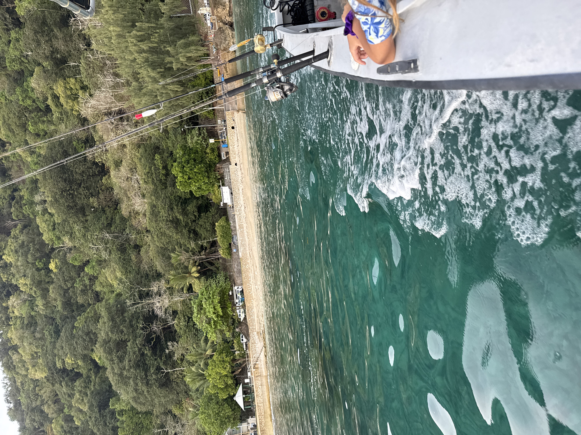 This image depicts a view from a boat moving through clear, turquoise water. The boat has several fishing rods mounted on its side, with reels visible. In the foreground, a person's arm and shoulder are visible, wearing a blue and white patterned garment. The background shows a lush, green, forested hillside that slopes down to a sandy beach. Along the beach, there is a stone wall, some palm trees, a small white gazebo, and several vehicles including cars and what appear to be campervans. The scene is likely a coastal area of Christmas Island, Australia, known for its abundant marine life and tropical environment.