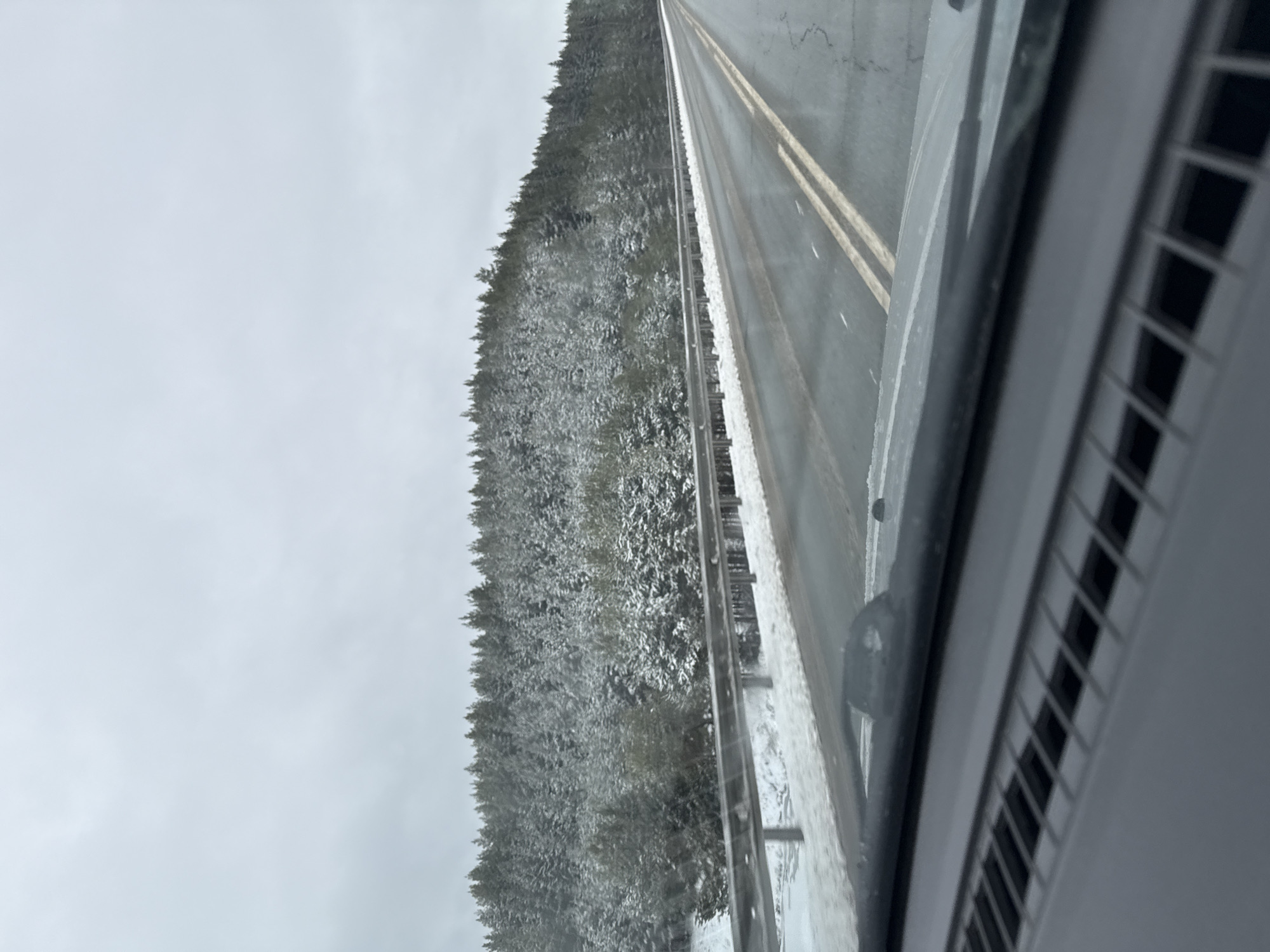 The image depicts a road scene in Osinovka, Polozovskii S/S, Russia. A snow-covered forest borders the road on one side. The asphalt is visible with yellow dividing lines. The photo is taken from inside a vehicle, with a portion of the dashboard visible. The sky is overcast. No people are visible.