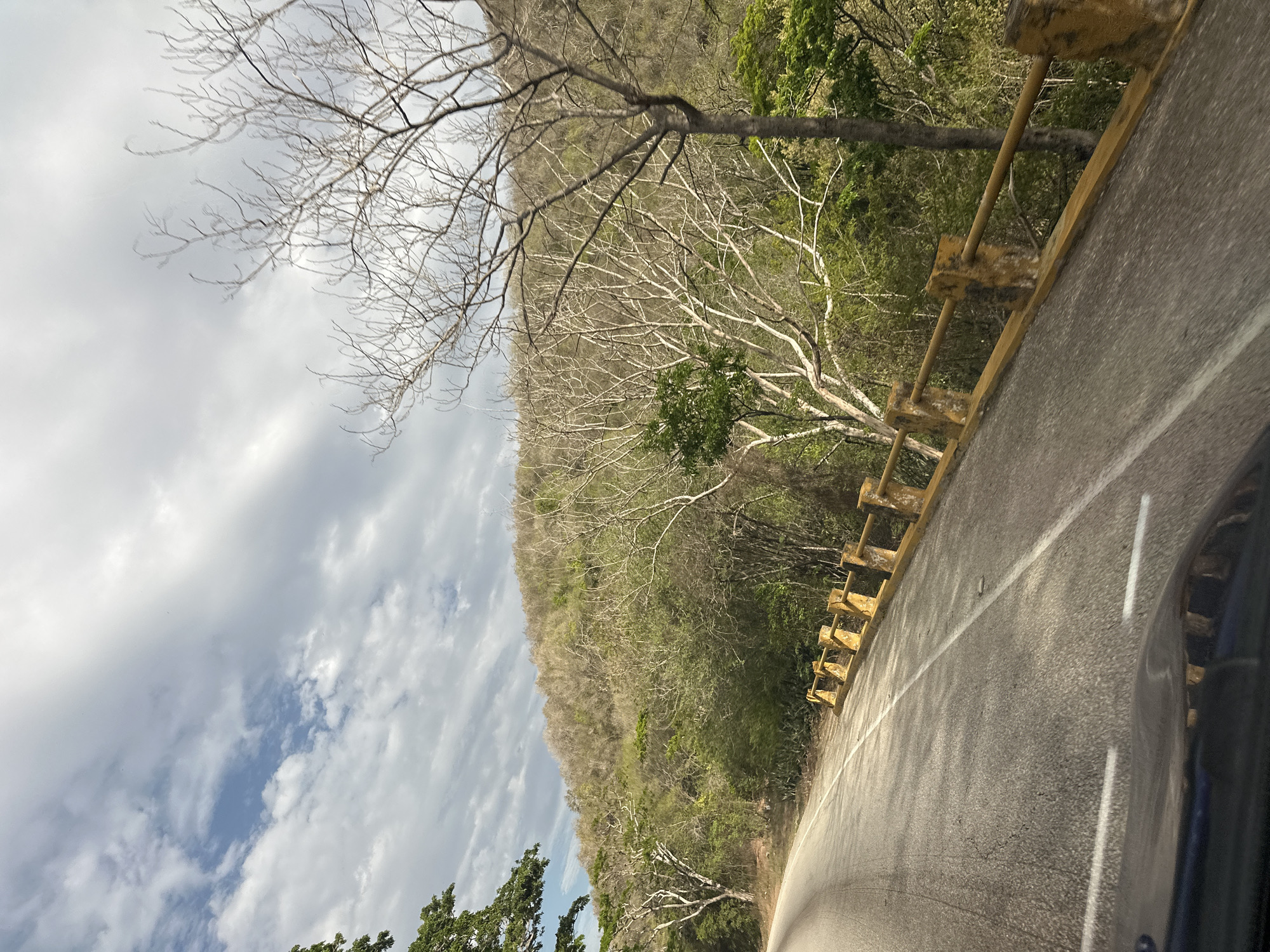 The image depicts a road curving to the left, bordered by a weathered yellow guardrail. The road surface is asphalt with white lane markings. On the right side of the road, a wooded hillside rises, covered in a mix of green foliage and bare, skeletal trees. The sky above is partly cloudy, with dramatic white and gray clouds against a backdrop of blue. In the foreground, the hood of a dark-colored vehicle is visible, suggesting the image was taken from inside a car. The scene appears to be a rural or semi-rural setting, potentially in or around La Asuncion, Venezuela, given the dry, possibly seasonal vegetation.