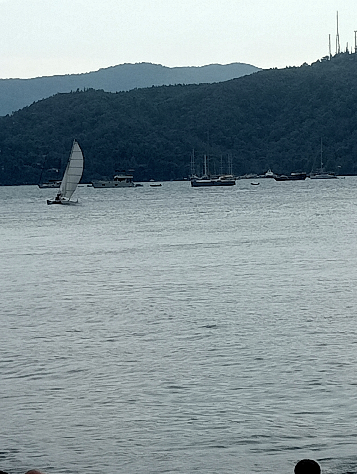 A wide shot captures a serene bay with a forested hillside forming the backdrop. The water is calm, with gentle ripples reflecting the overcast sky. In the mid-ground, several sailboats and larger vessels are anchored. One small sailboat with a white sail is actively sailing towards the left of the frame. The forested hillside is dense and dark green, with a hazy, mountainous silhouette further behind. On the far right of the hillside, several tall, thin structures, possibly communication towers, are visible against the sky. The overall atmosphere is quiet and tranquil, suggestive of a coastal town, possibly Fethiye, Turkey, given the natural landscape and the presence of sailboats. No people are clearly identifiable in the image.