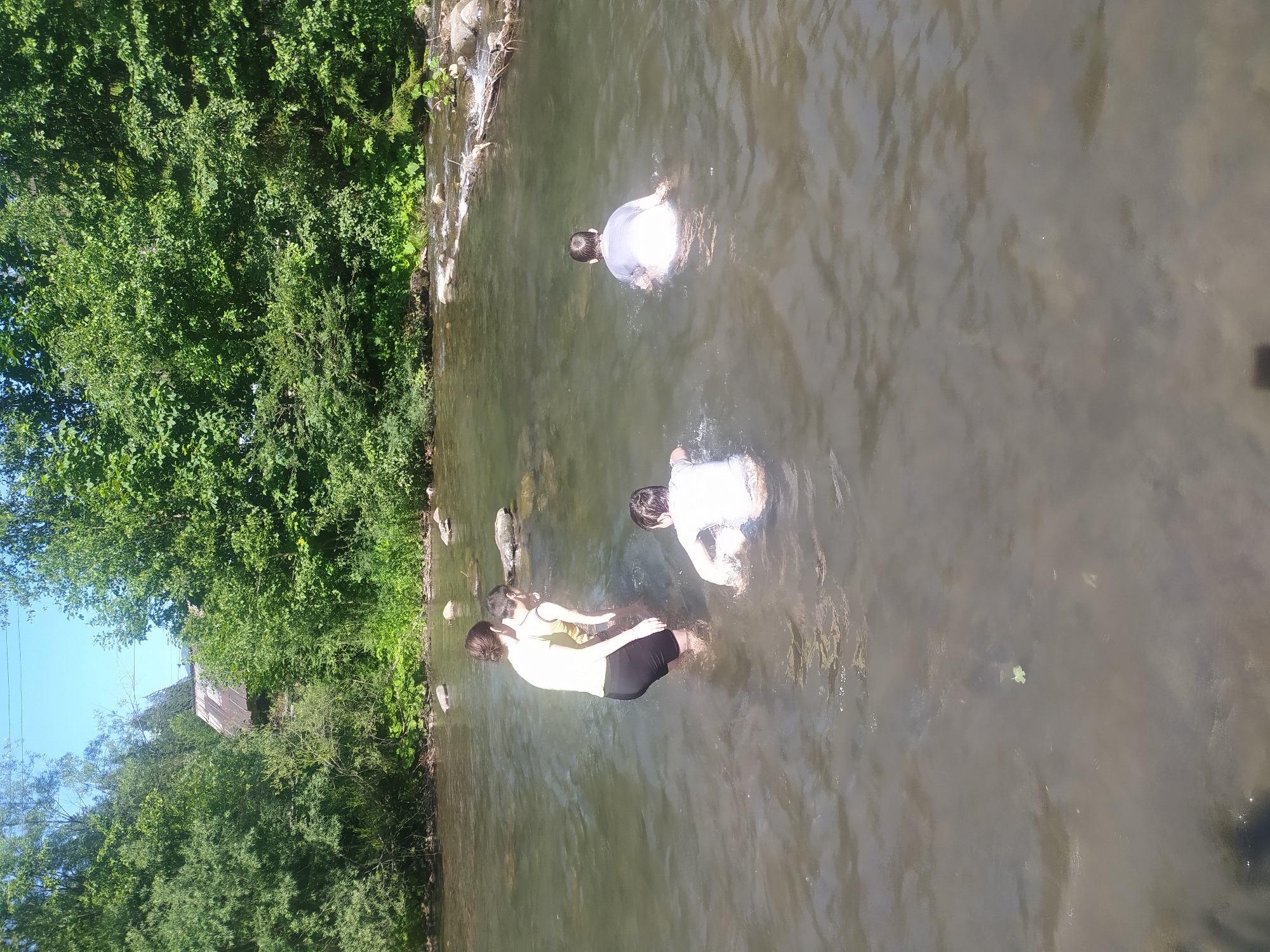 The image shows three people in a shallow river. Two are partially submerged, and one is standing in the water. The person on the left is wearing a yellow top and black shorts, with their back to the camera. The person in the middle is wearing a white t-shirt and appears to be playing with the person in front of them. The person on the right is wearing a white t-shirt and is facing away from the camera, with only their head and shoulders visible above the water. The river has a rocky bottom and is surrounded by lush green trees. The sun is shining, suggesting it is daytime and the weather is likely warm. The scene appears to be in a natural, outdoor setting. The image is captured from a high angle, looking down at the river.